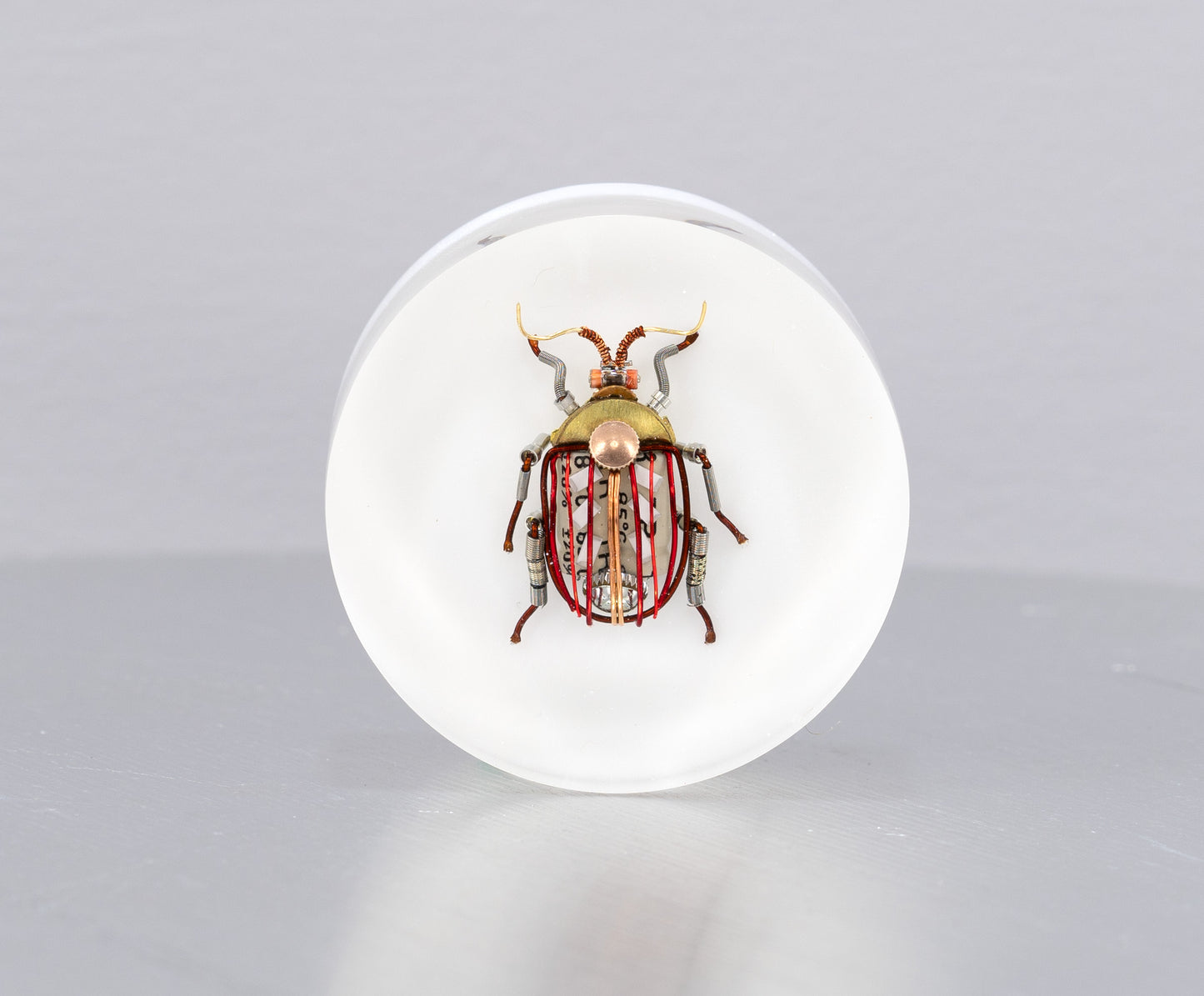 Scarab Beetle (SB02), 2024