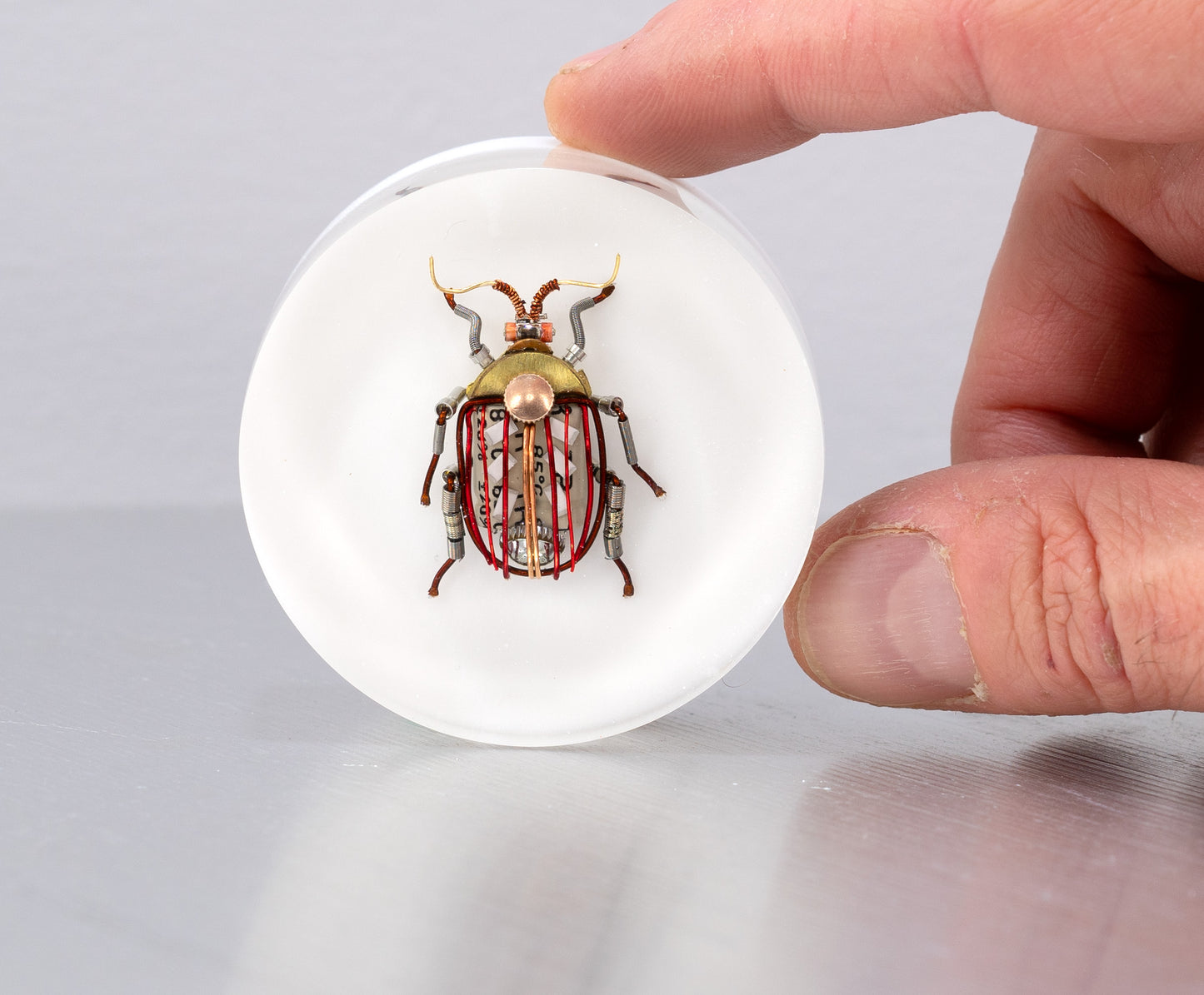 Scarab Beetle (SB02), 2024