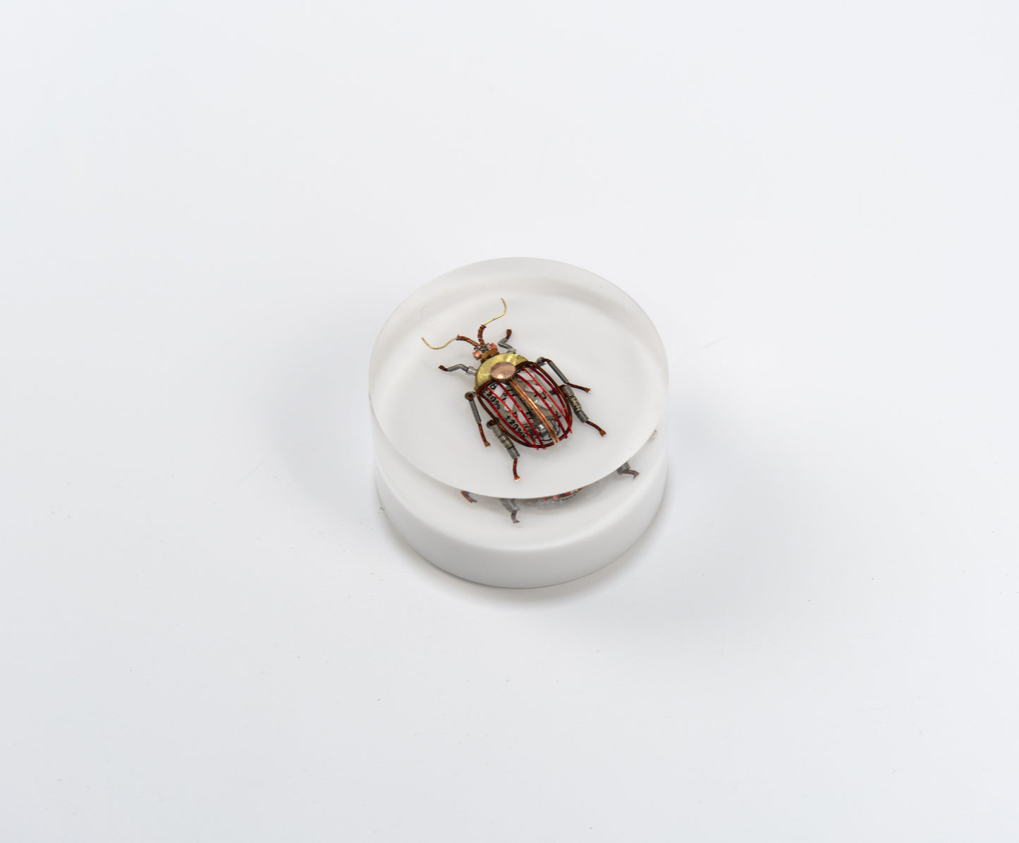 Scarab Beetle (SB02), 2024