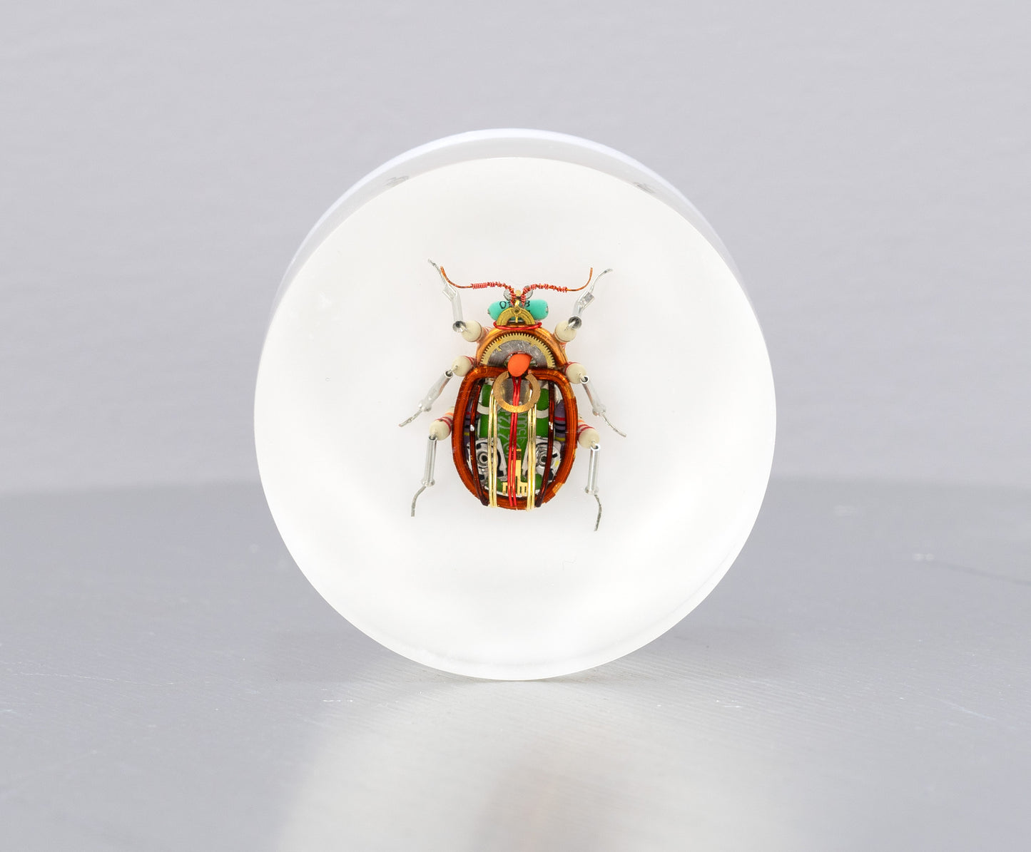 Scarab Beetle (SB03), 2024