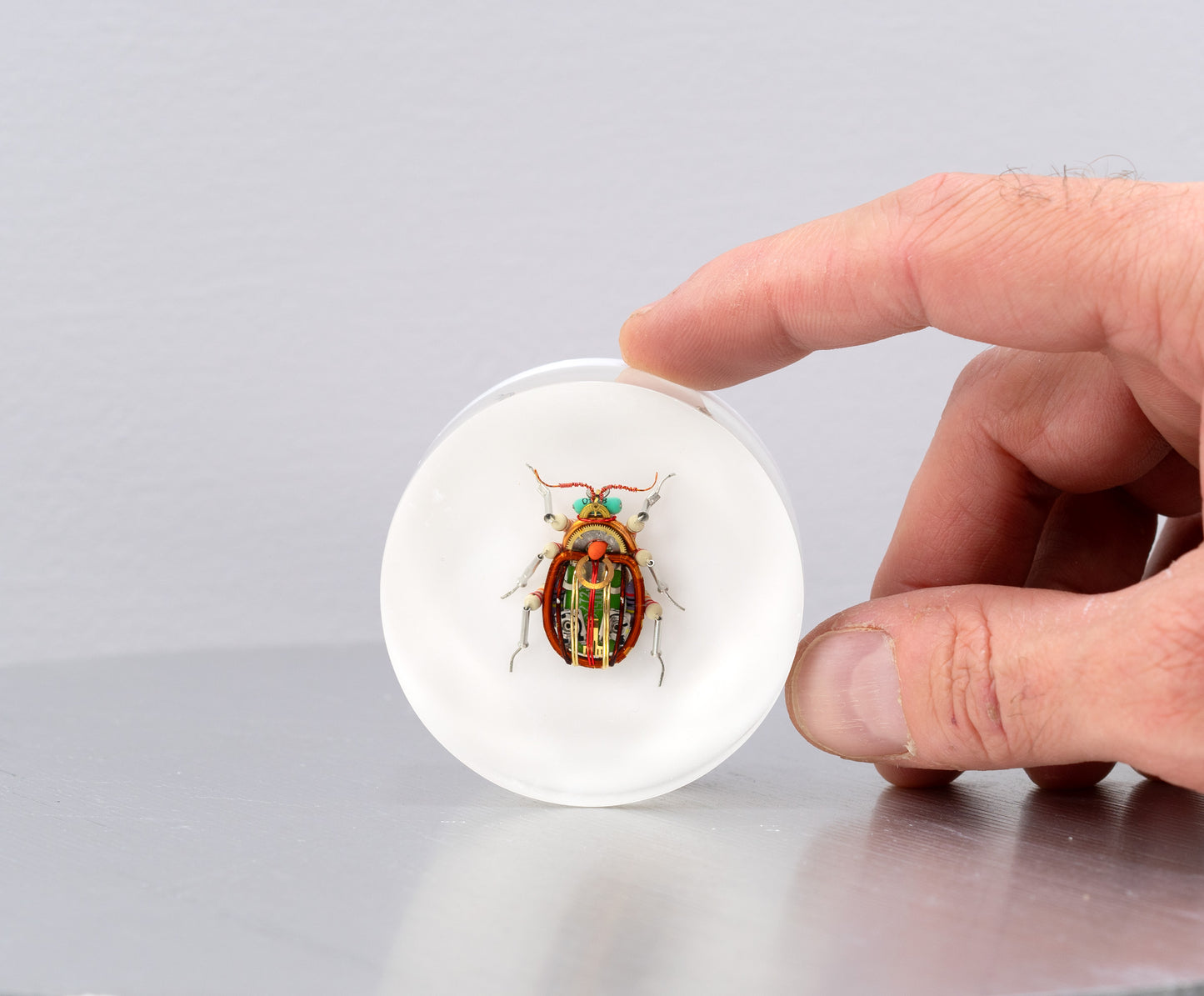 Scarab Beetle (SB03), 2024