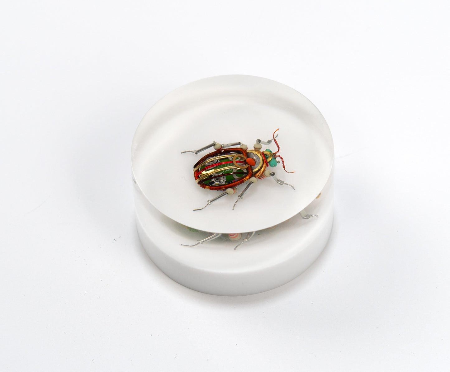 Scarab Beetle (SB03), 2024