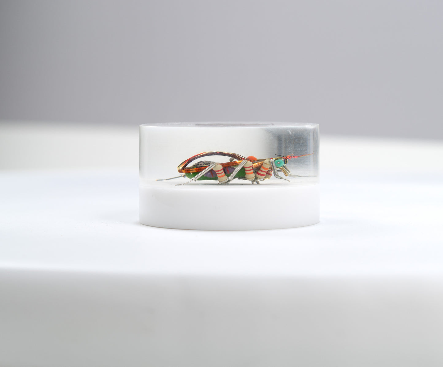 Scarab Beetle (SB03), 2024