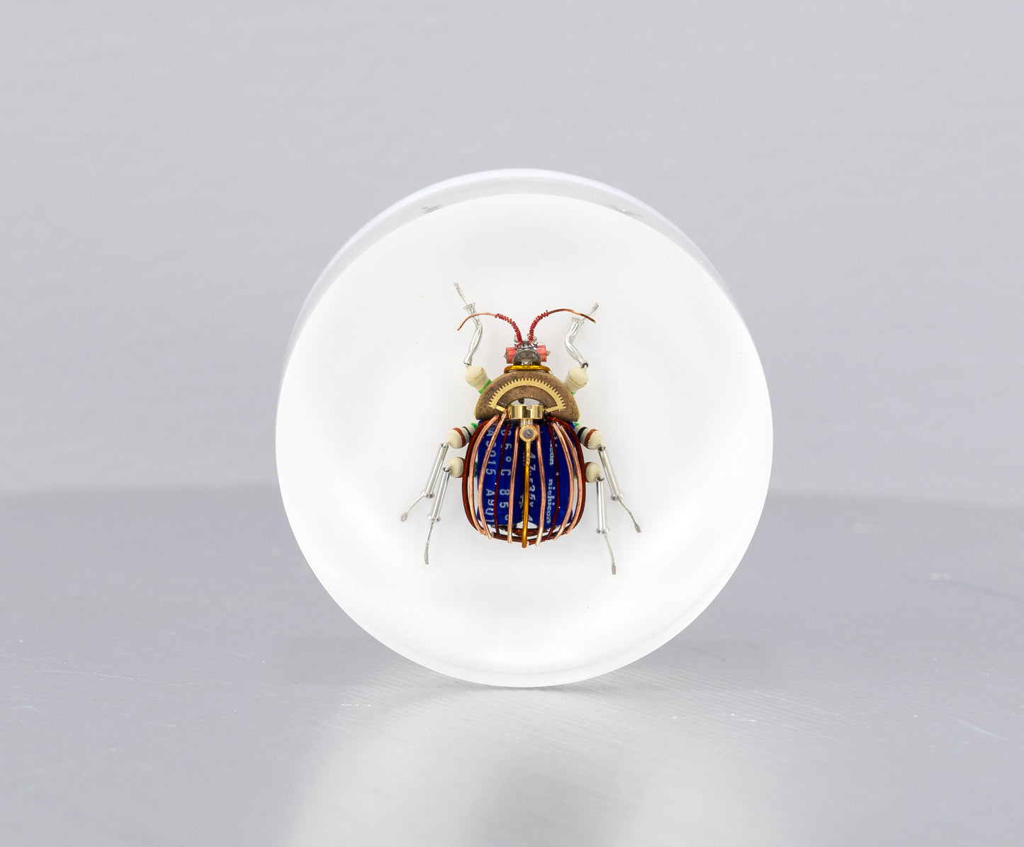 Scarab Beetle (SB04), 2024