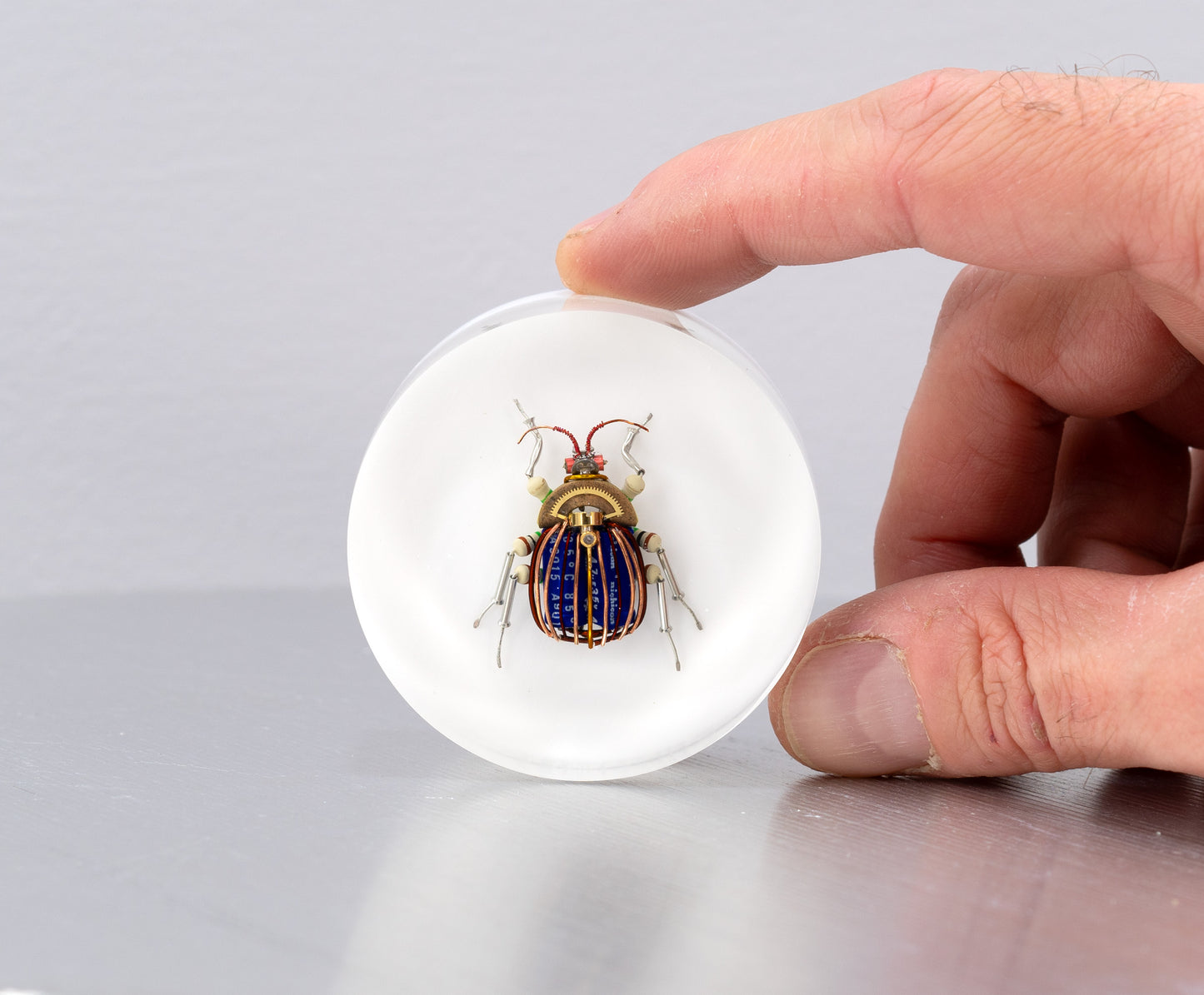 Scarab Beetle (SB04), 2024