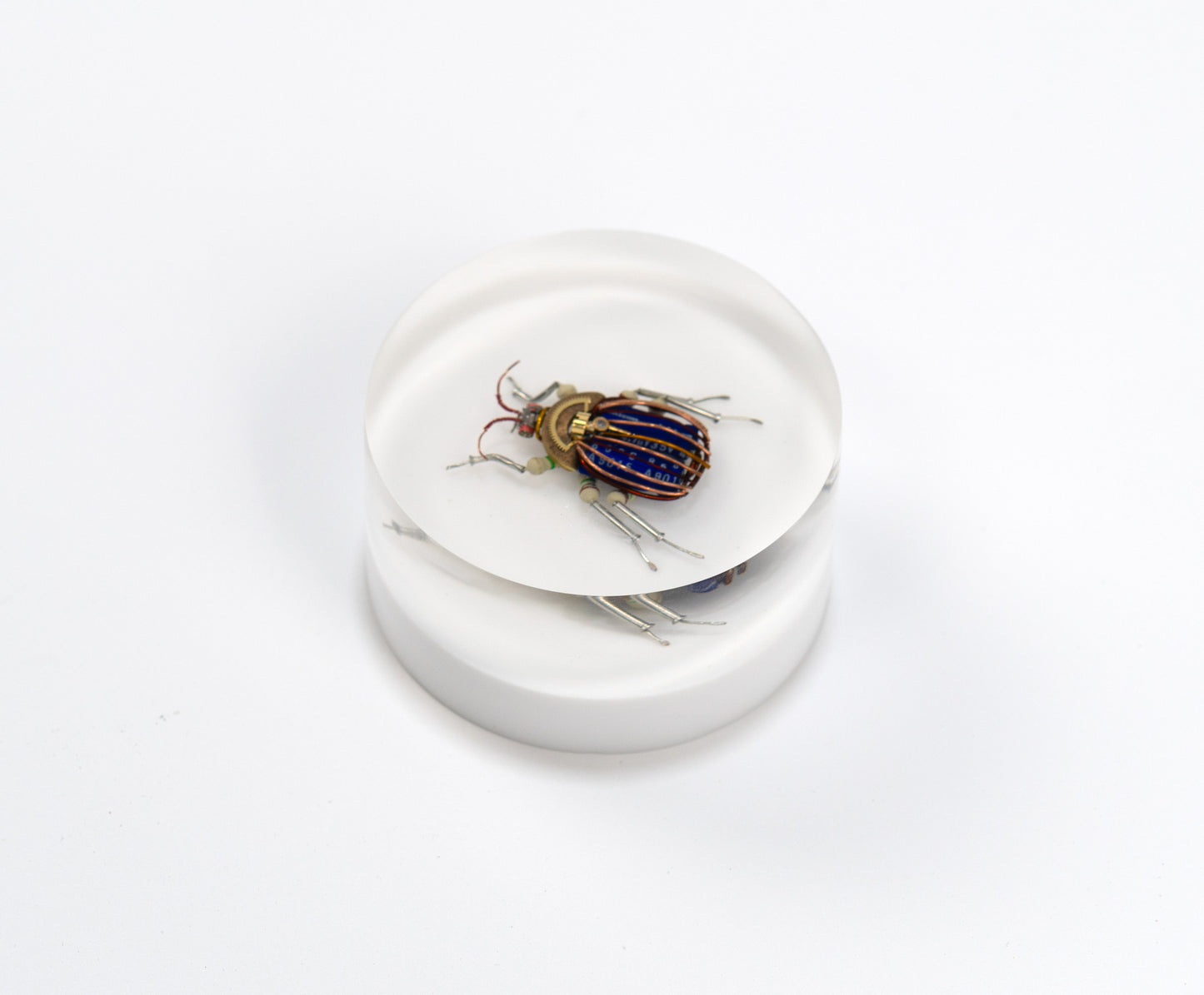 Scarab Beetle (SB04), 2024