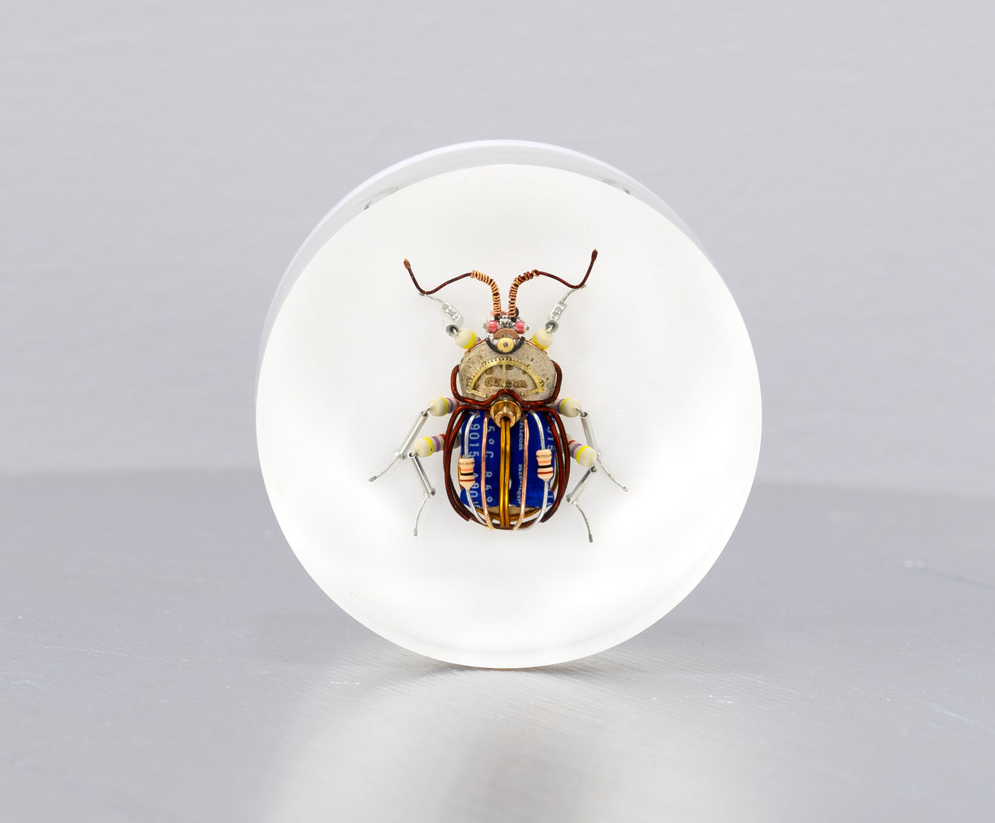 Scarab Beetle (SB05), 2024