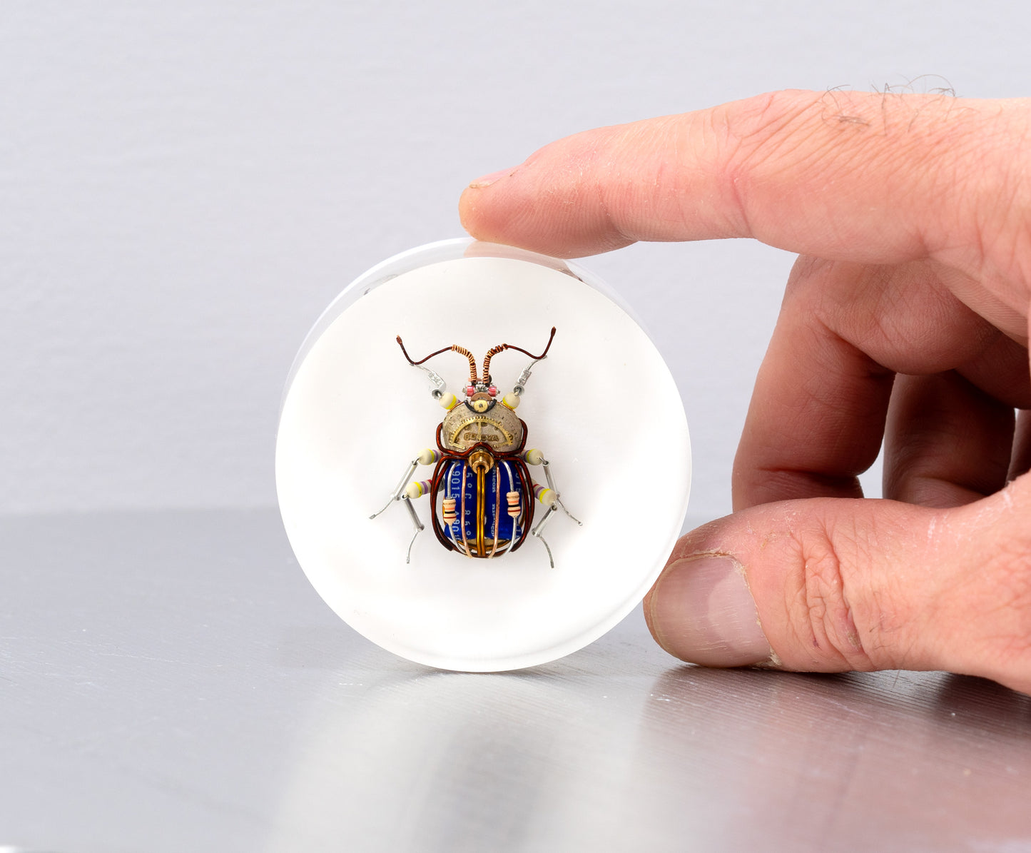Scarab Beetle (SB05), 2024