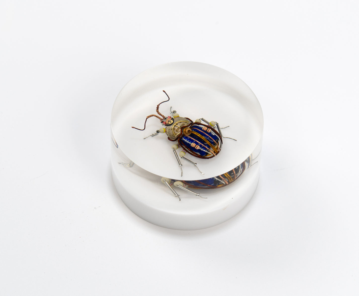 Scarab Beetle (SB05), 2024