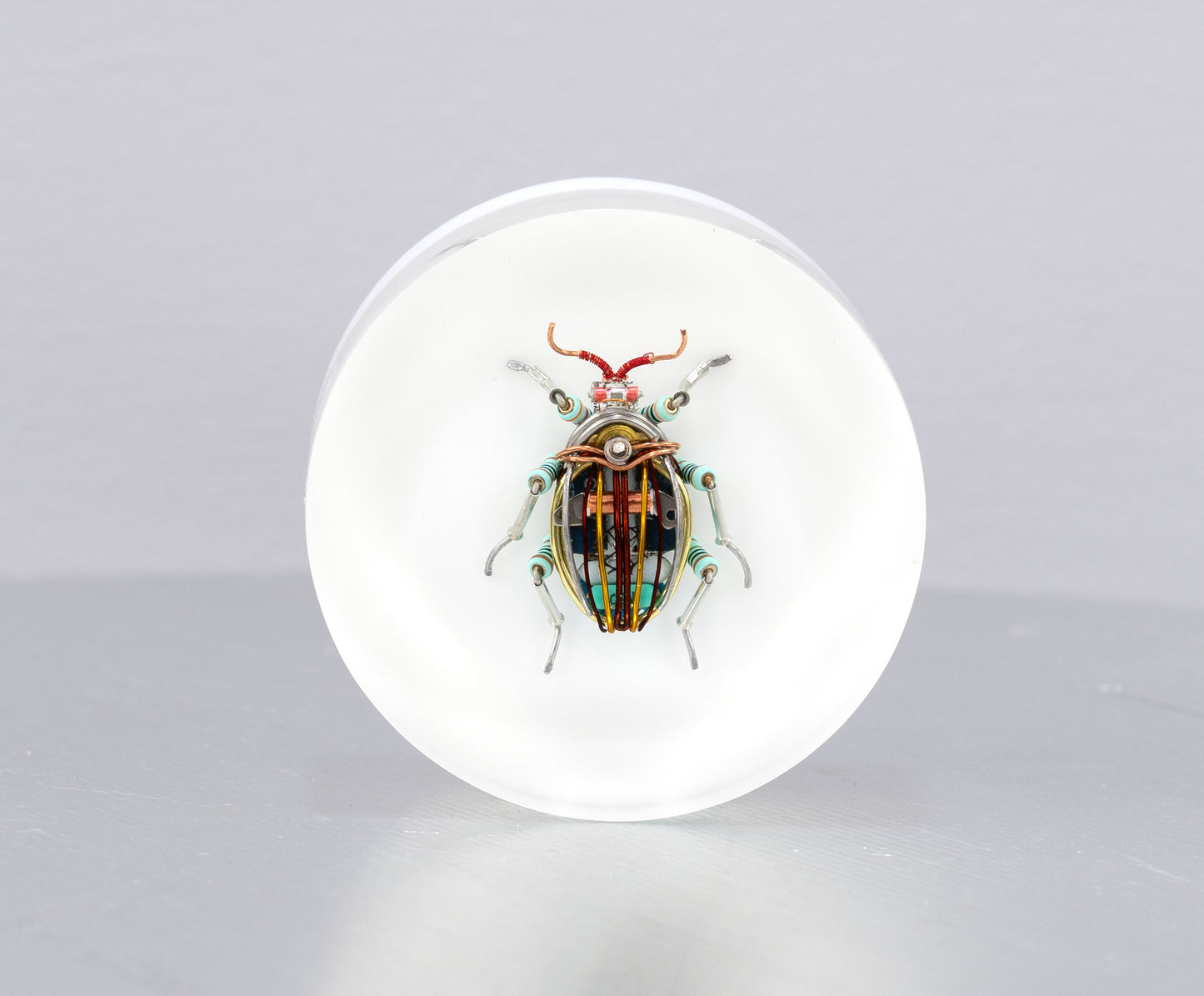 Scarab Beetle (SB06), 2024
