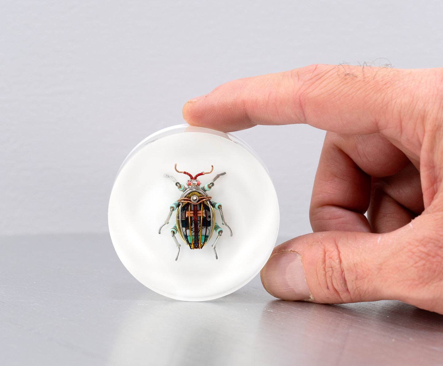 Scarab Beetle (SB06), 2024