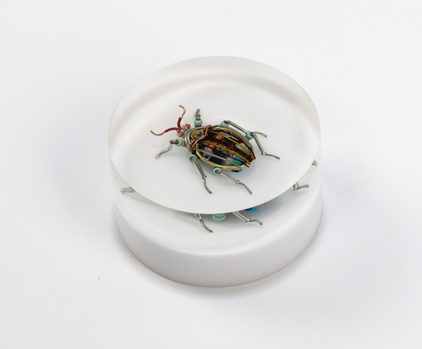 Scarab Beetle (SB06), 2024