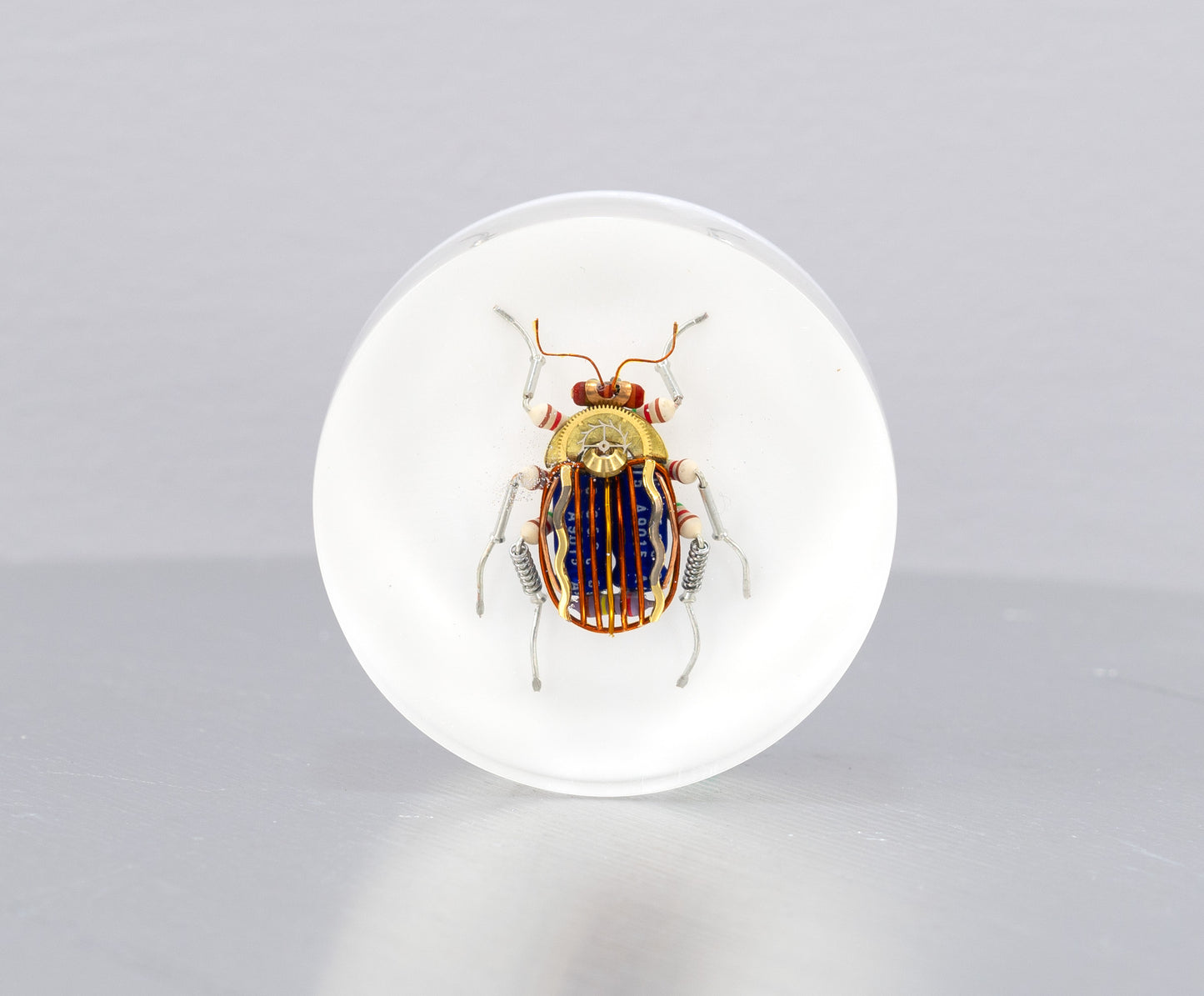 Scarab Beetle (SB08), 2024