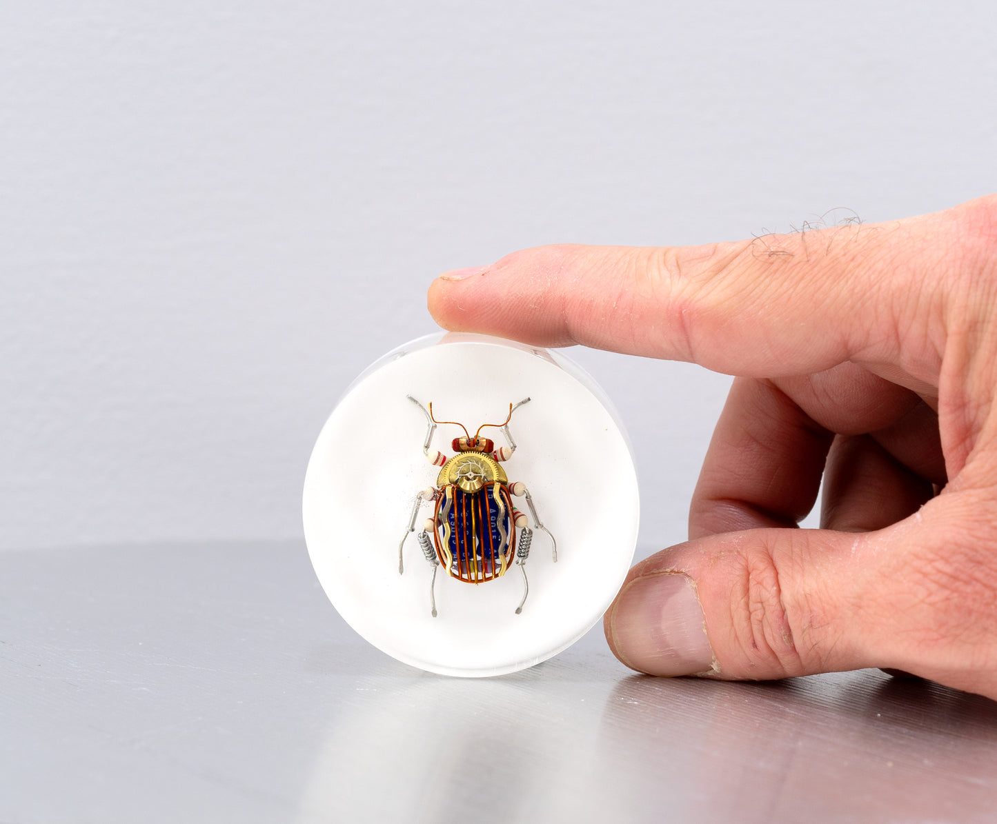 Scarab Beetle (SB08), 2024