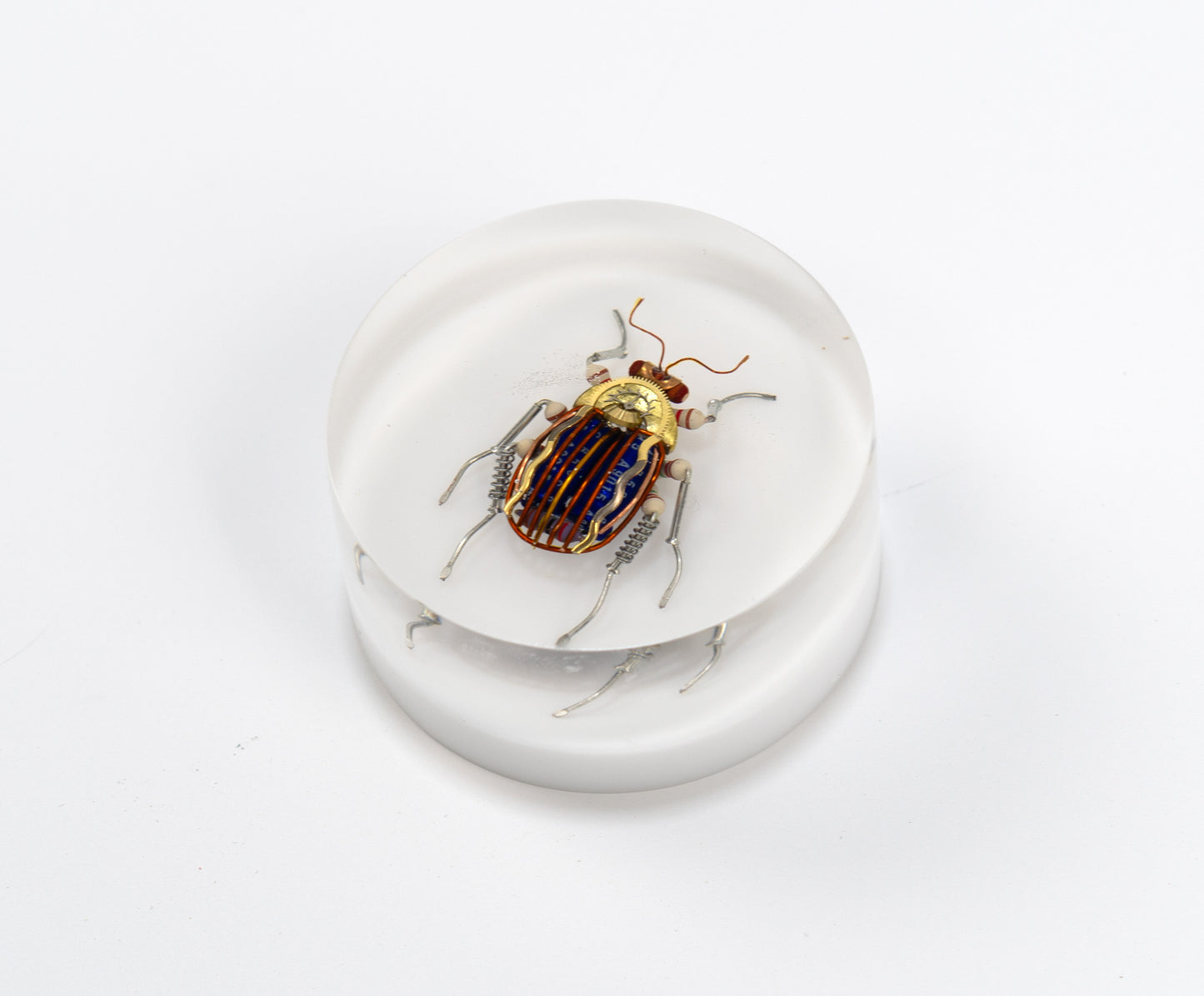 Scarab Beetle (SB08), 2024