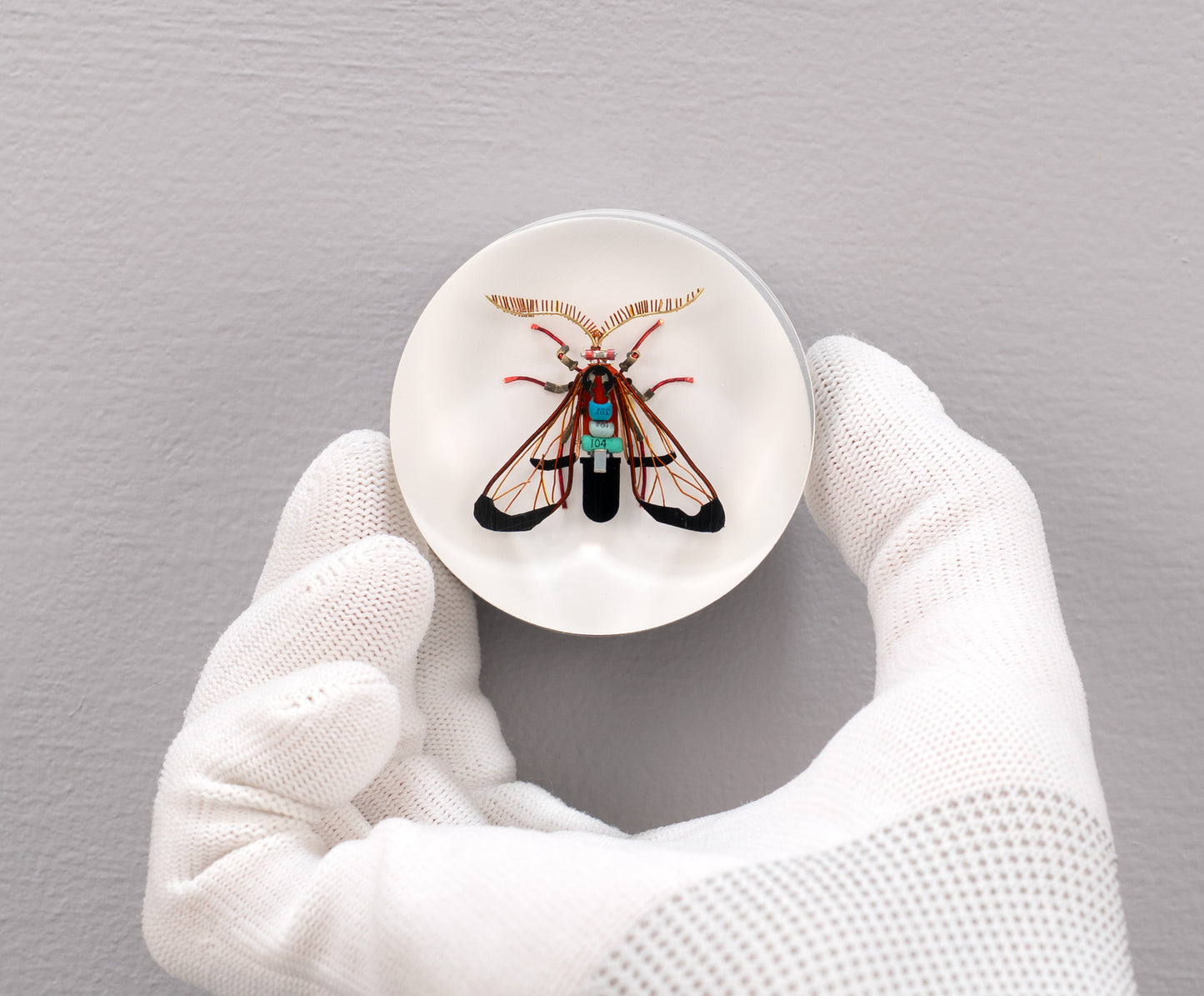 Cosmosoma Tiger Moth Mini Sculpture, 2025