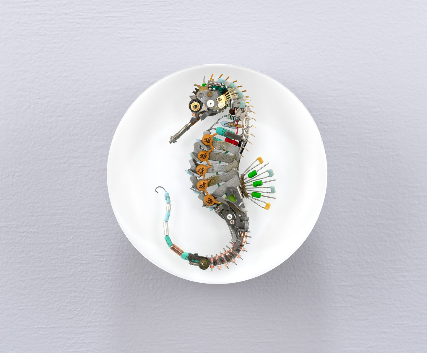 Eclectiletric Seahorse, 2024