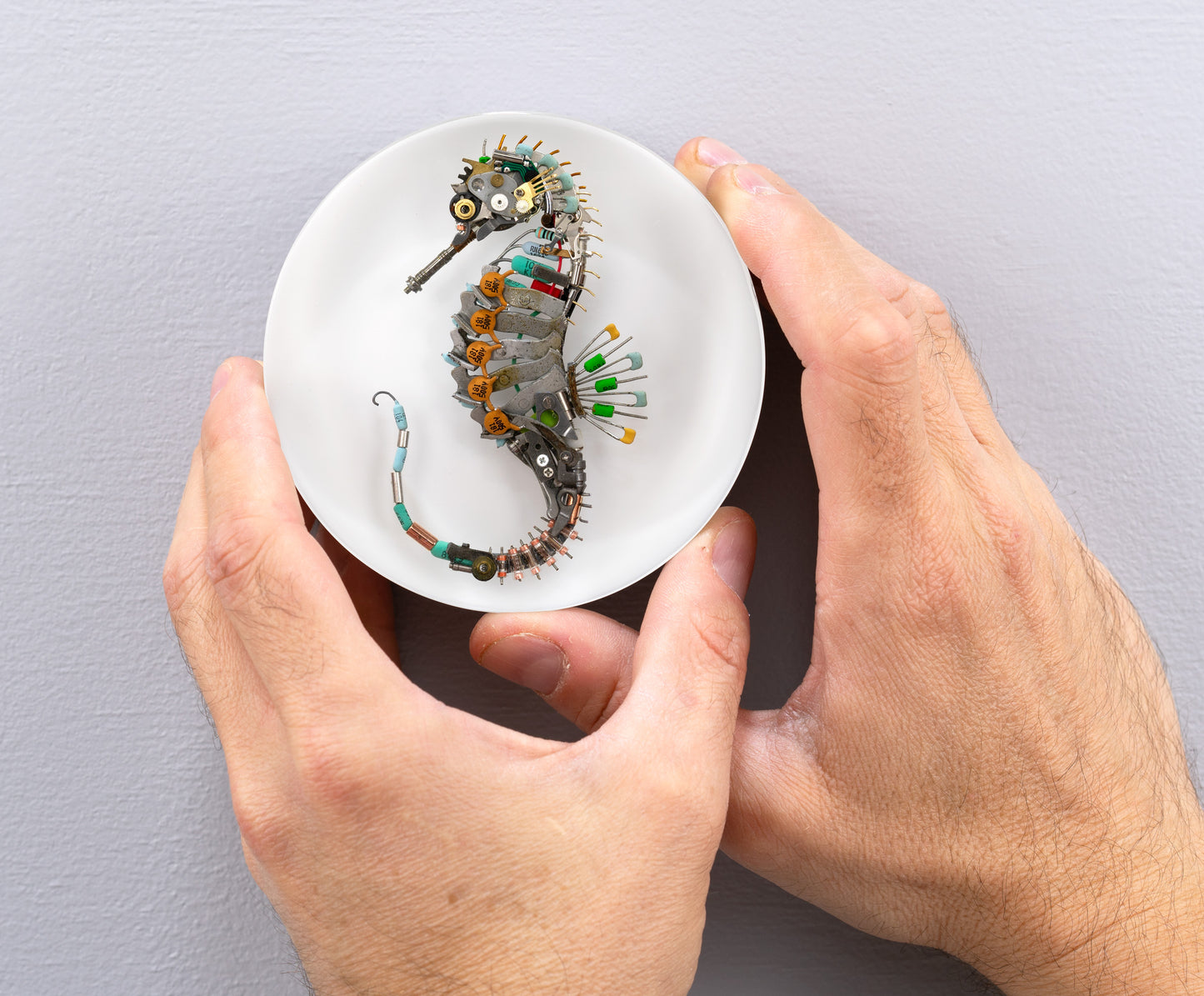 Eclectiletric Seahorse, 2024
