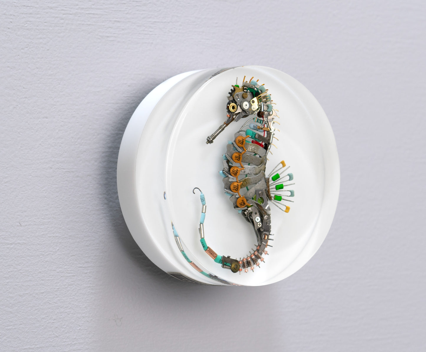Eclectiletric Seahorse, 2024