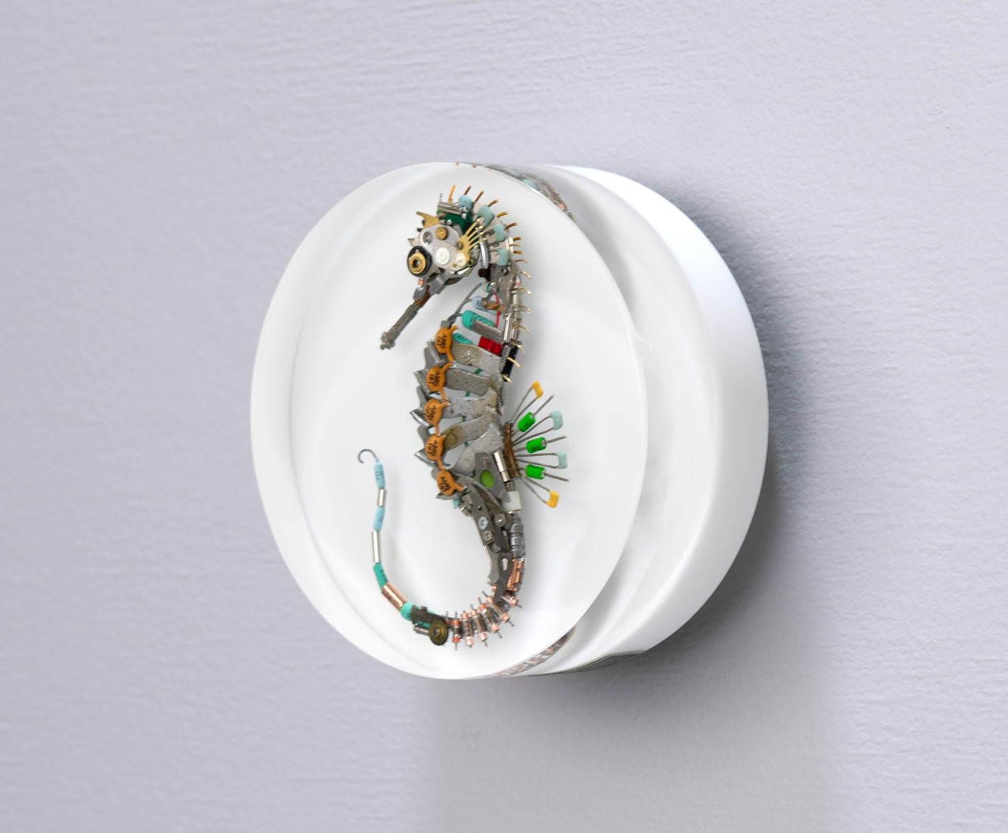 Eclectiletric Seahorse, 2024