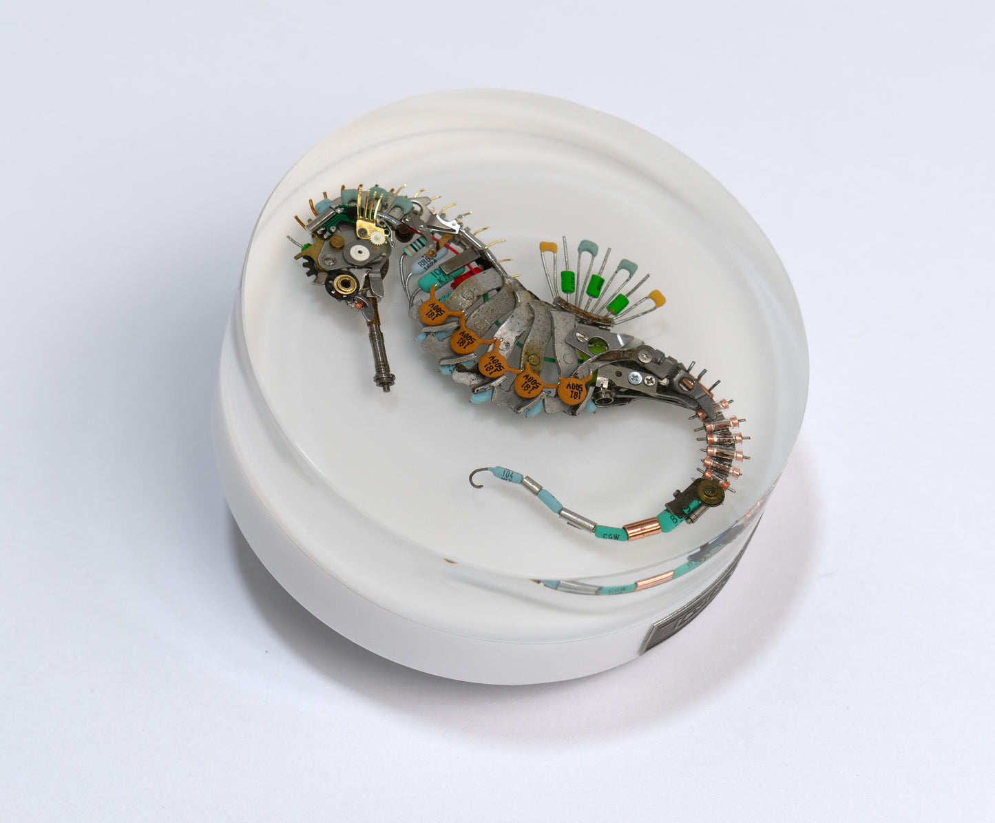 Eclectiletric Seahorse, 2024