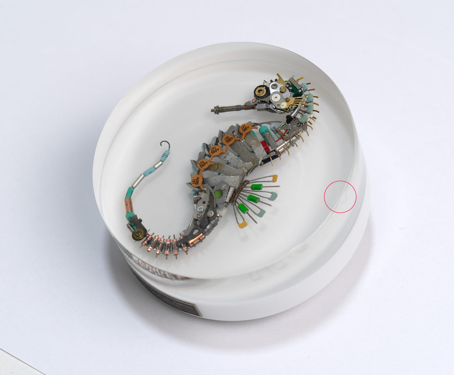 Eclectiletric Seahorse, 2024