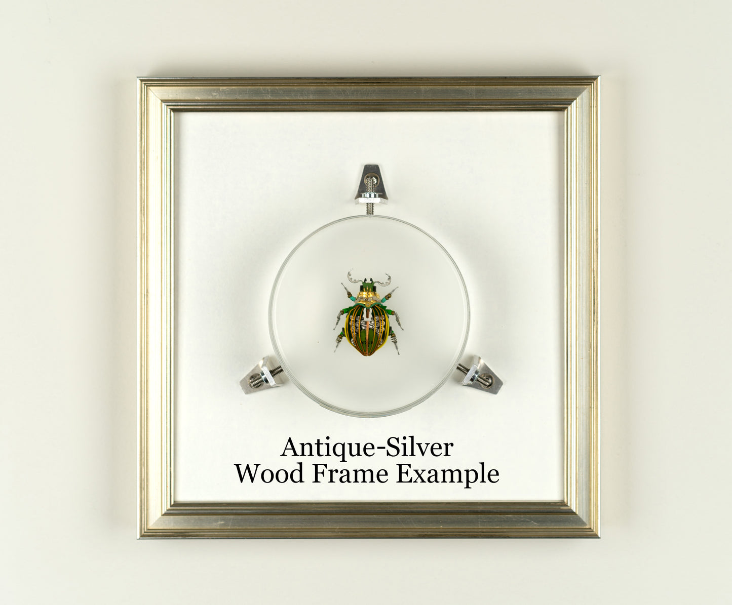 Acanthus Stag Beetle, 2023