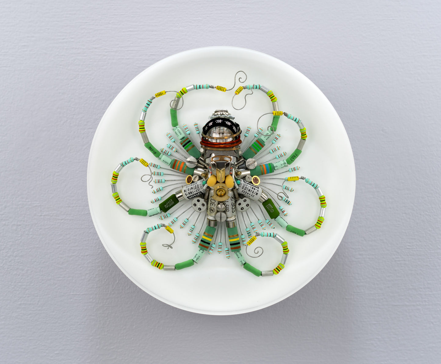 Graduated Phytophore Octopus, 2024