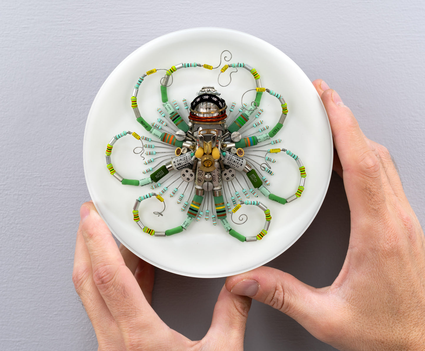 Graduated Phytophore Octopus, 2024
