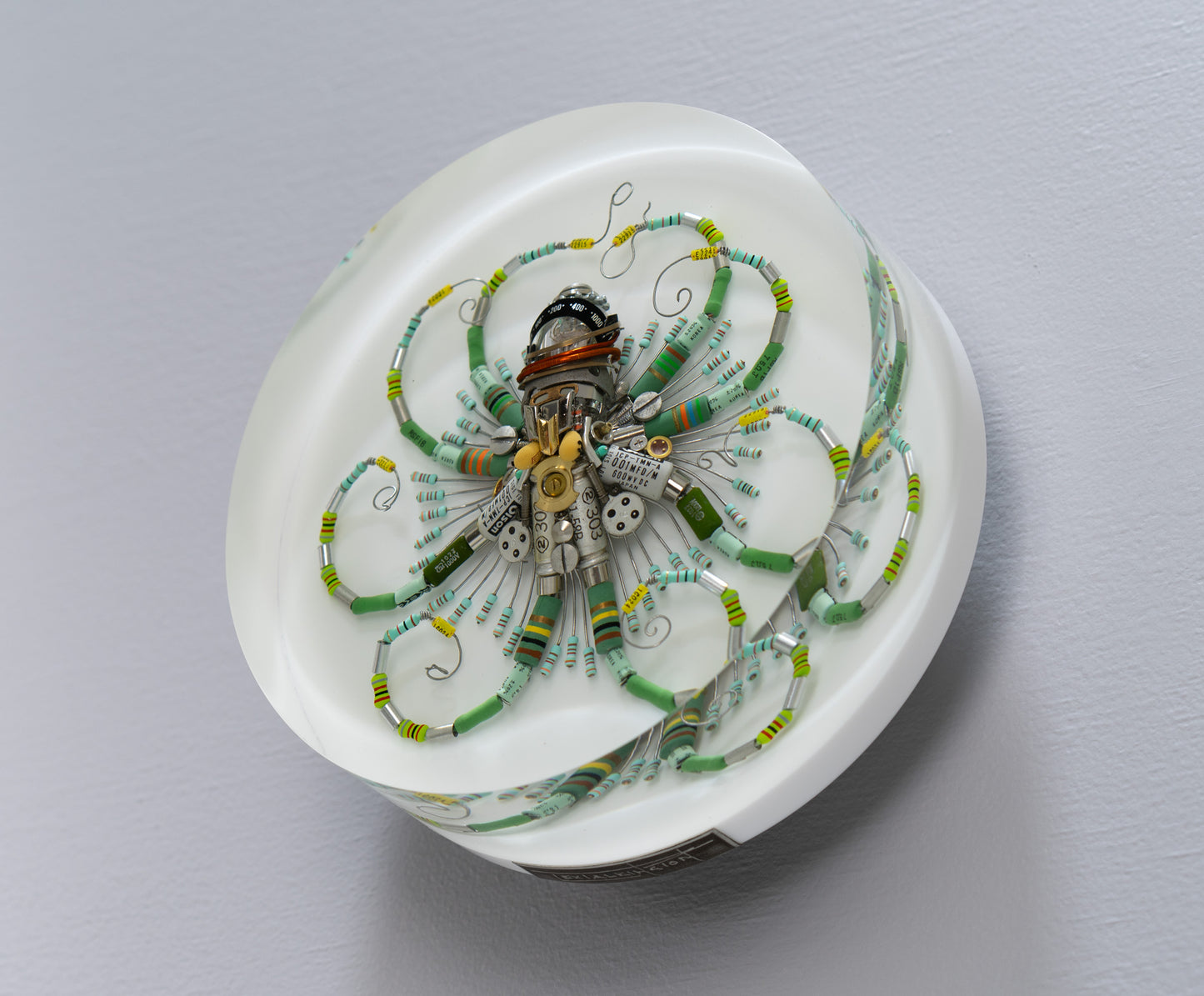 Graduated Phytophore Octopus, 2024