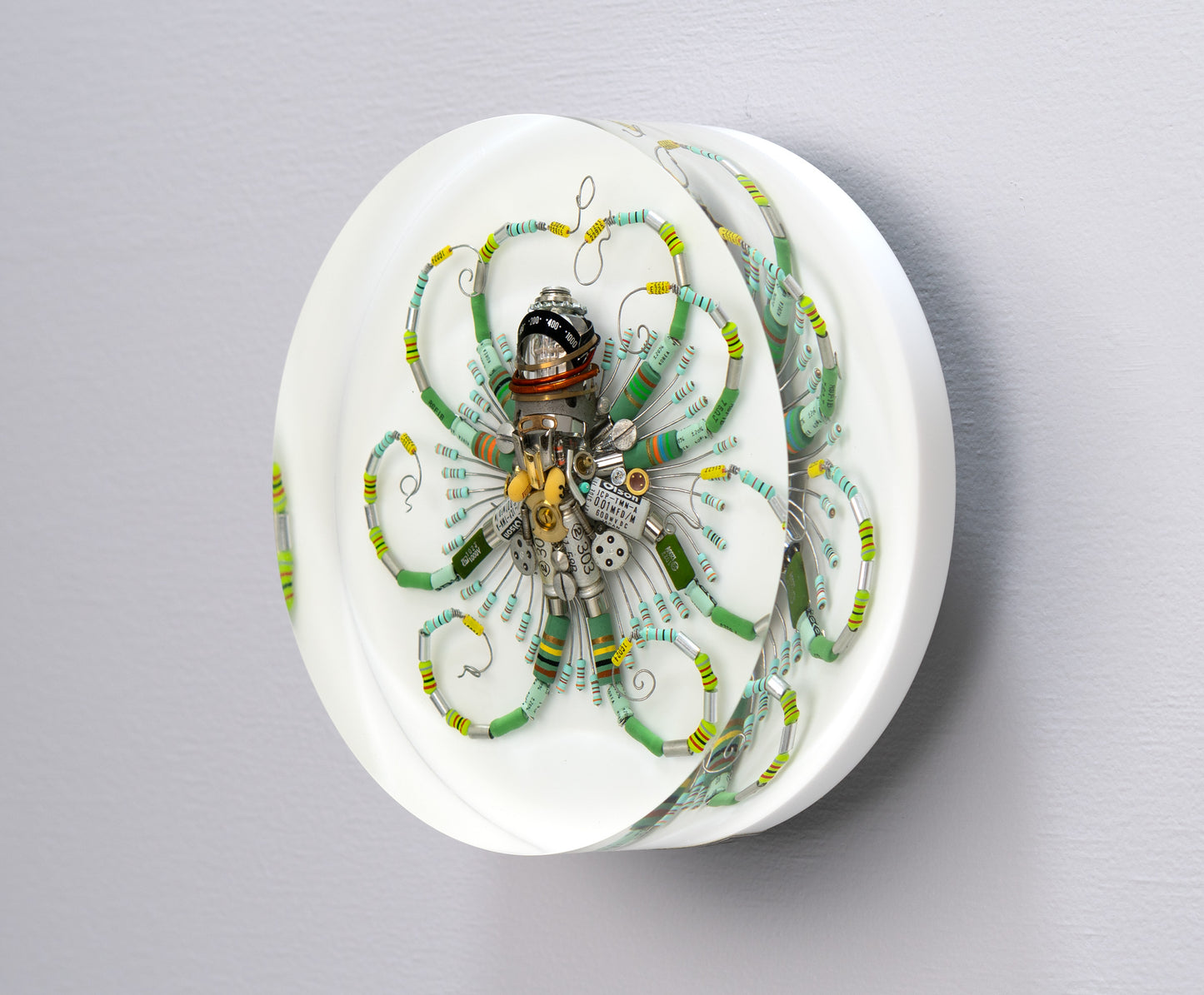 Graduated Phytophore Octopus, 2024