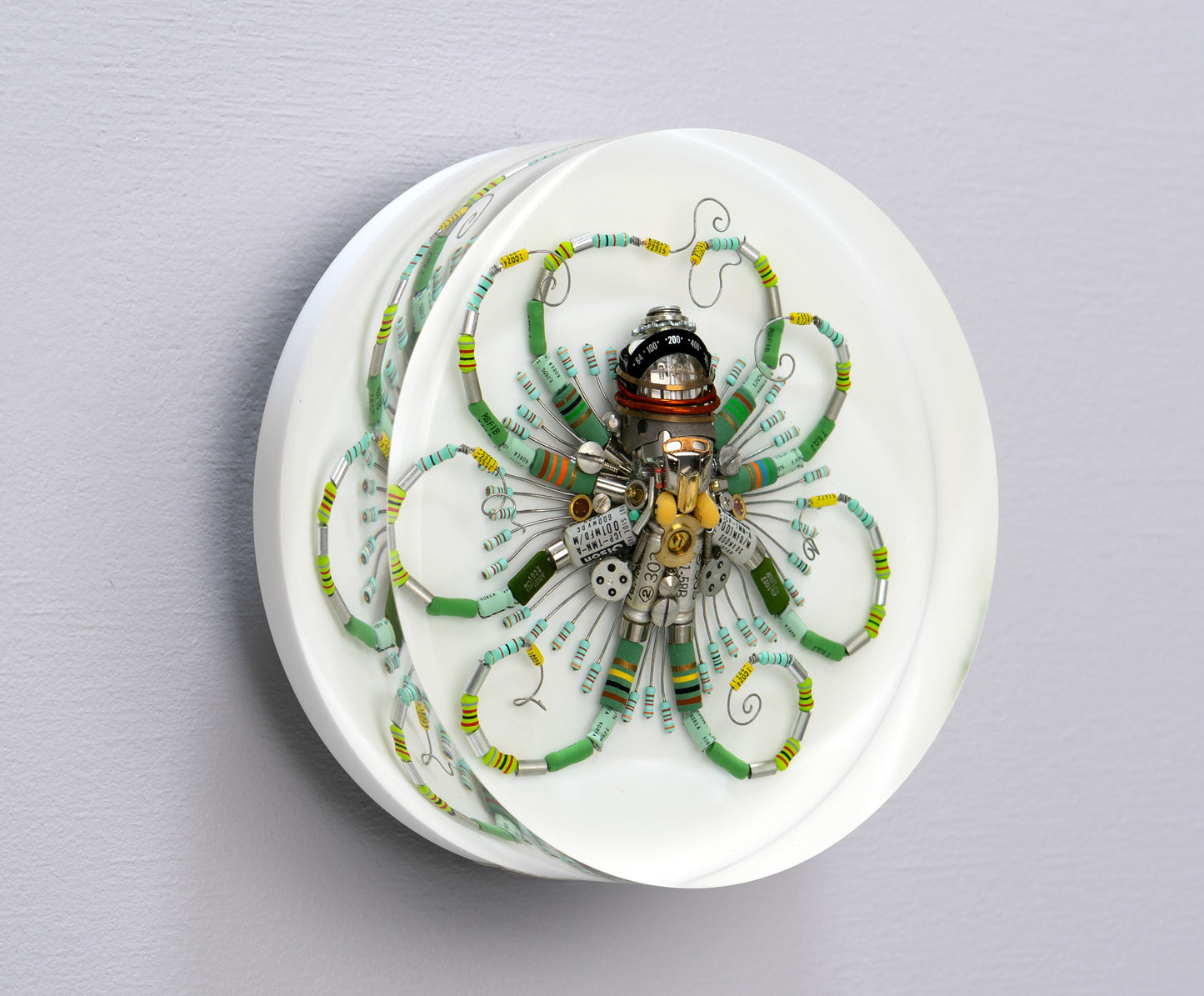 Graduated Phytophore Octopus, 2024
