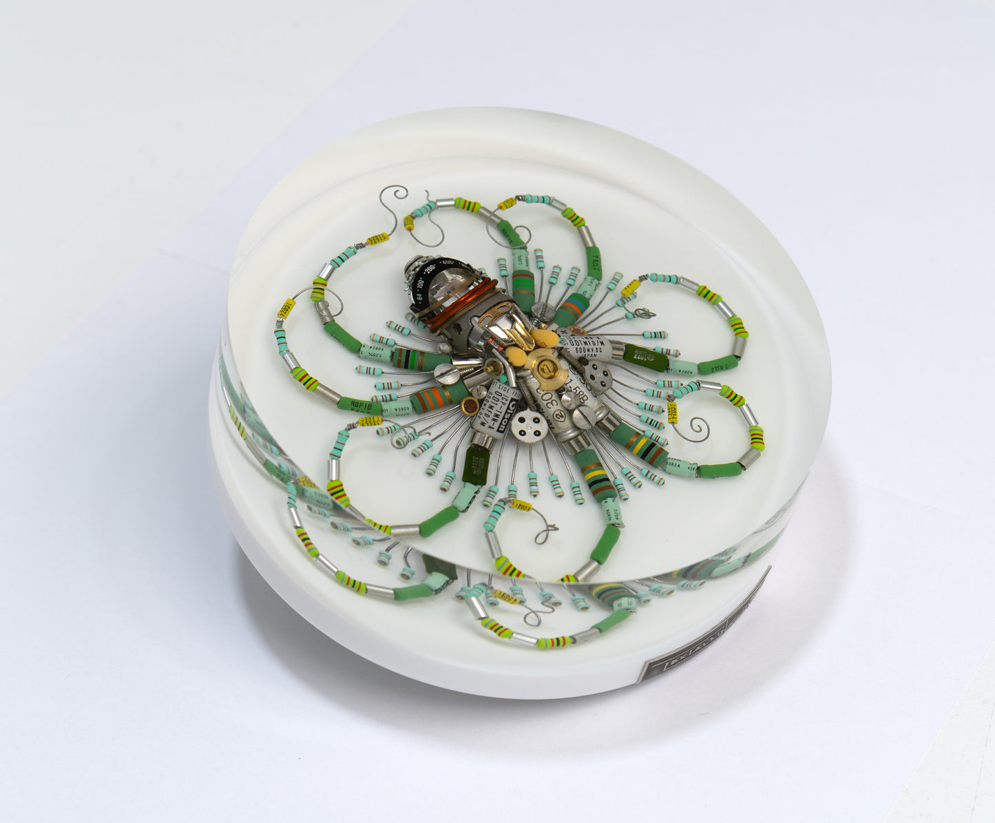 Graduated Phytophore Octopus, 2024