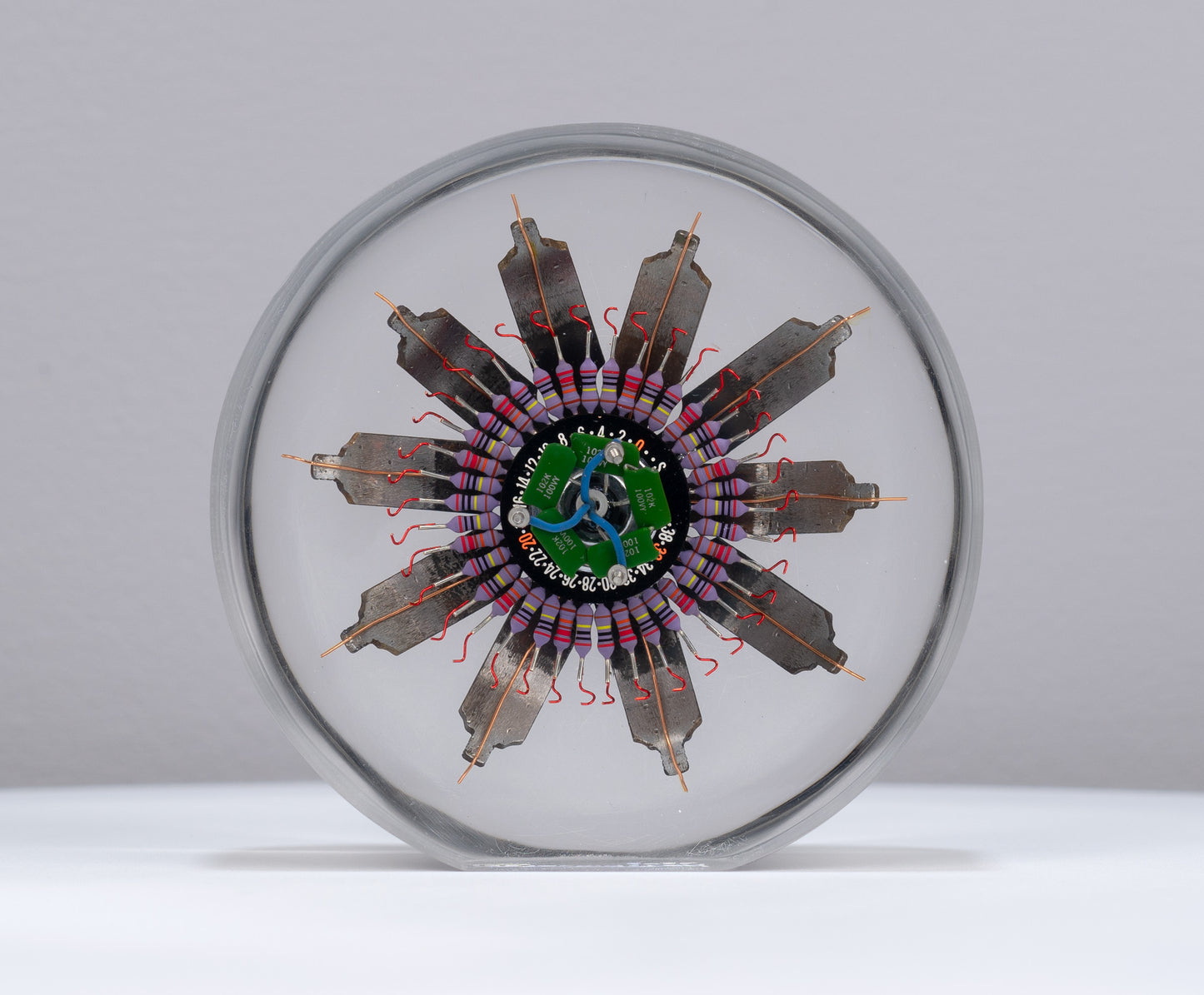 Passion Flower, 2022