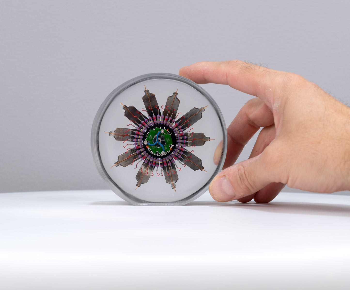 Passion Flower, 2022