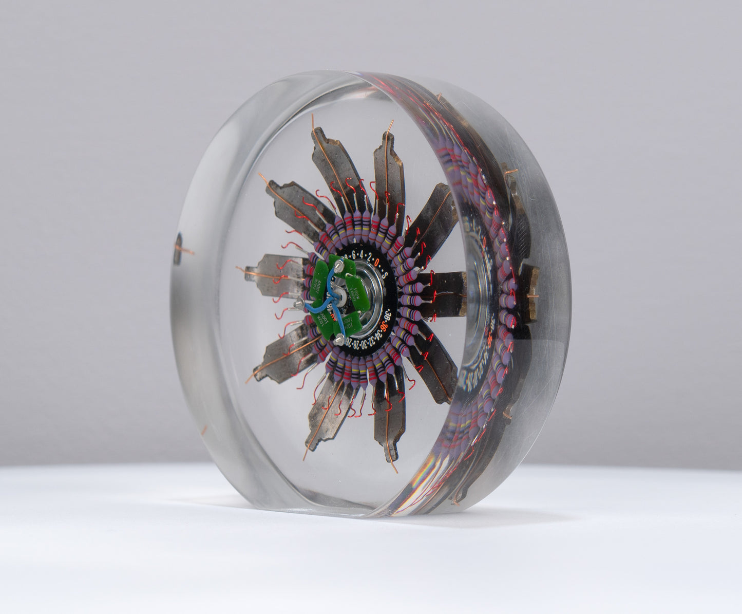 Passion Flower, 2022
