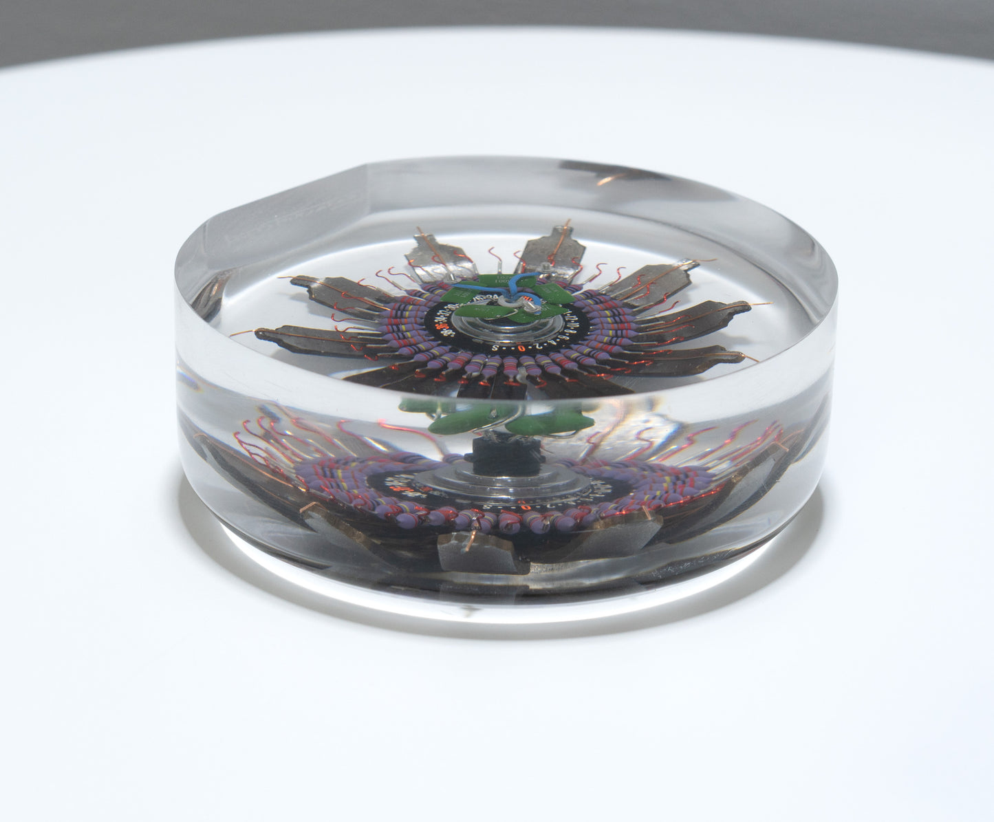 Passion Flower, 2022