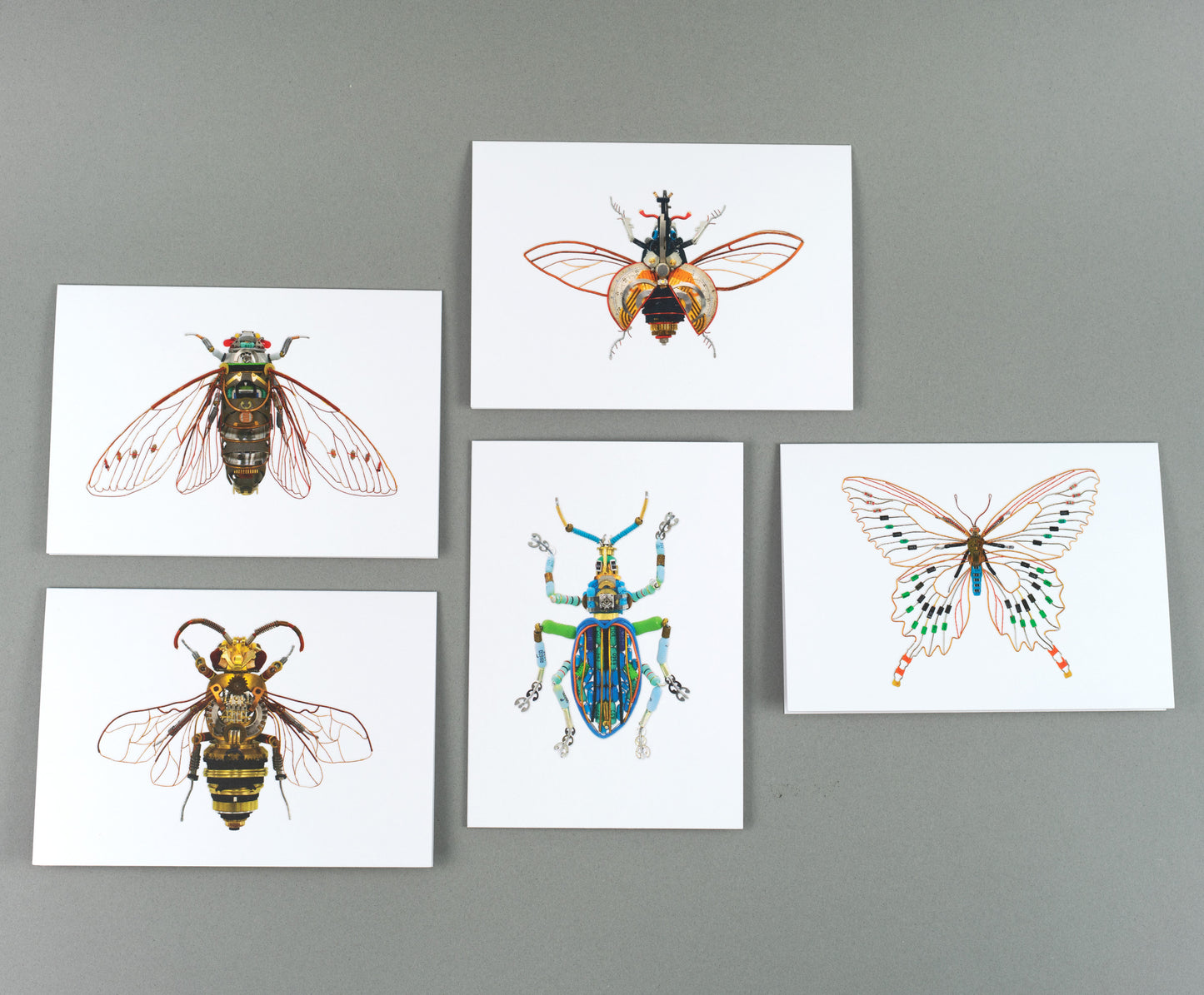 The Insects: A6 Greeting Cards