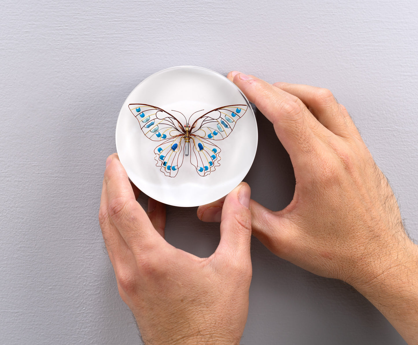 Sky Switch Butterfly, 2024