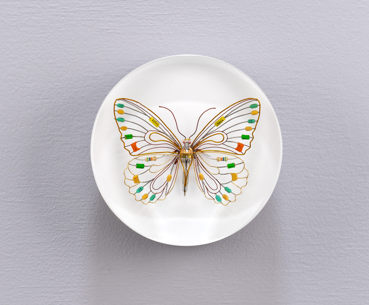 Citrus Photon Butterfly, 2024