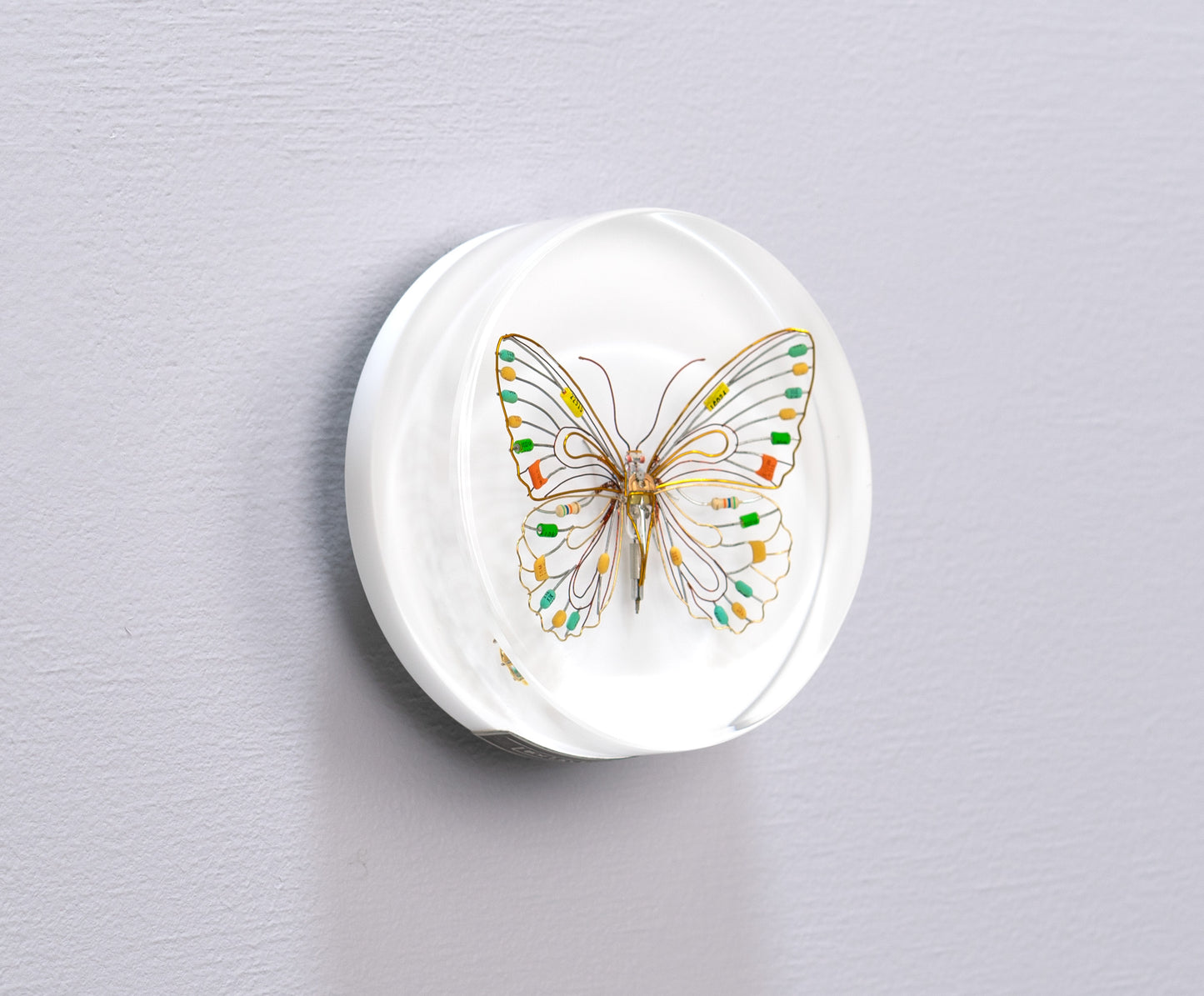 Citrus Photon Butterfly, 2024
