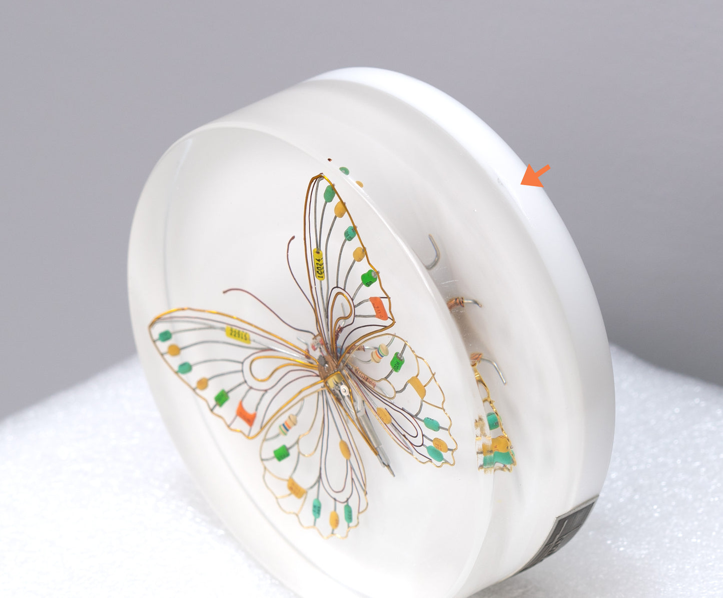 Citrus Photon Butterfly, 2024