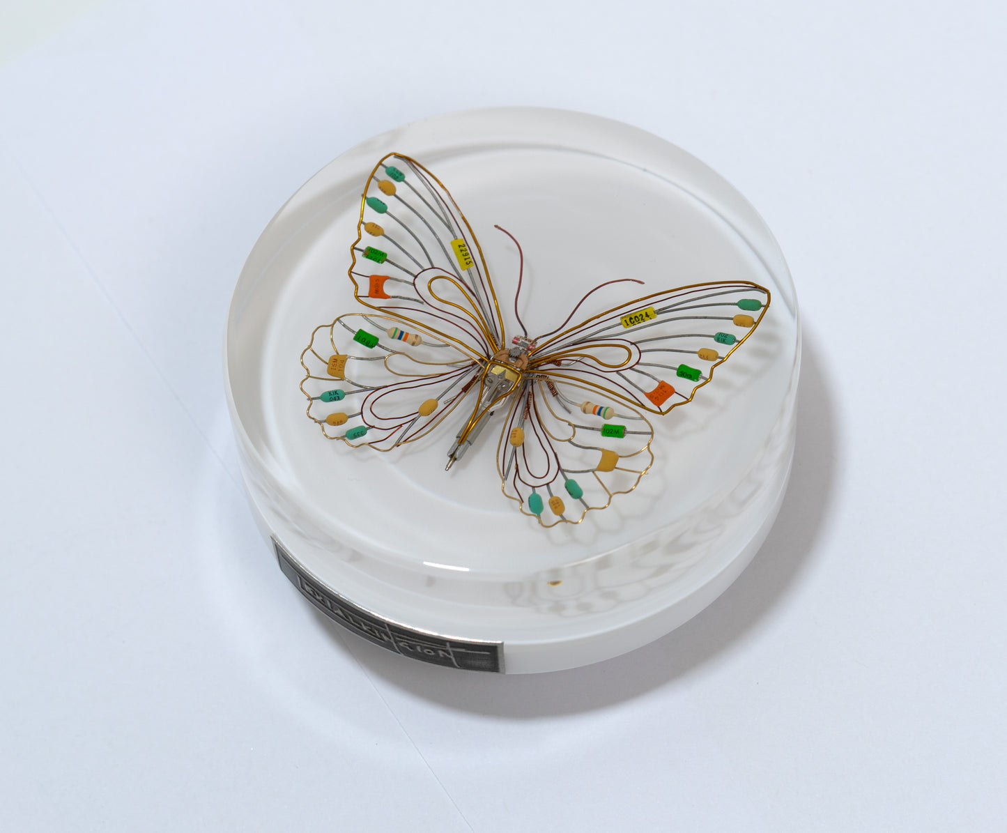 Citrus Photon Butterfly, 2024