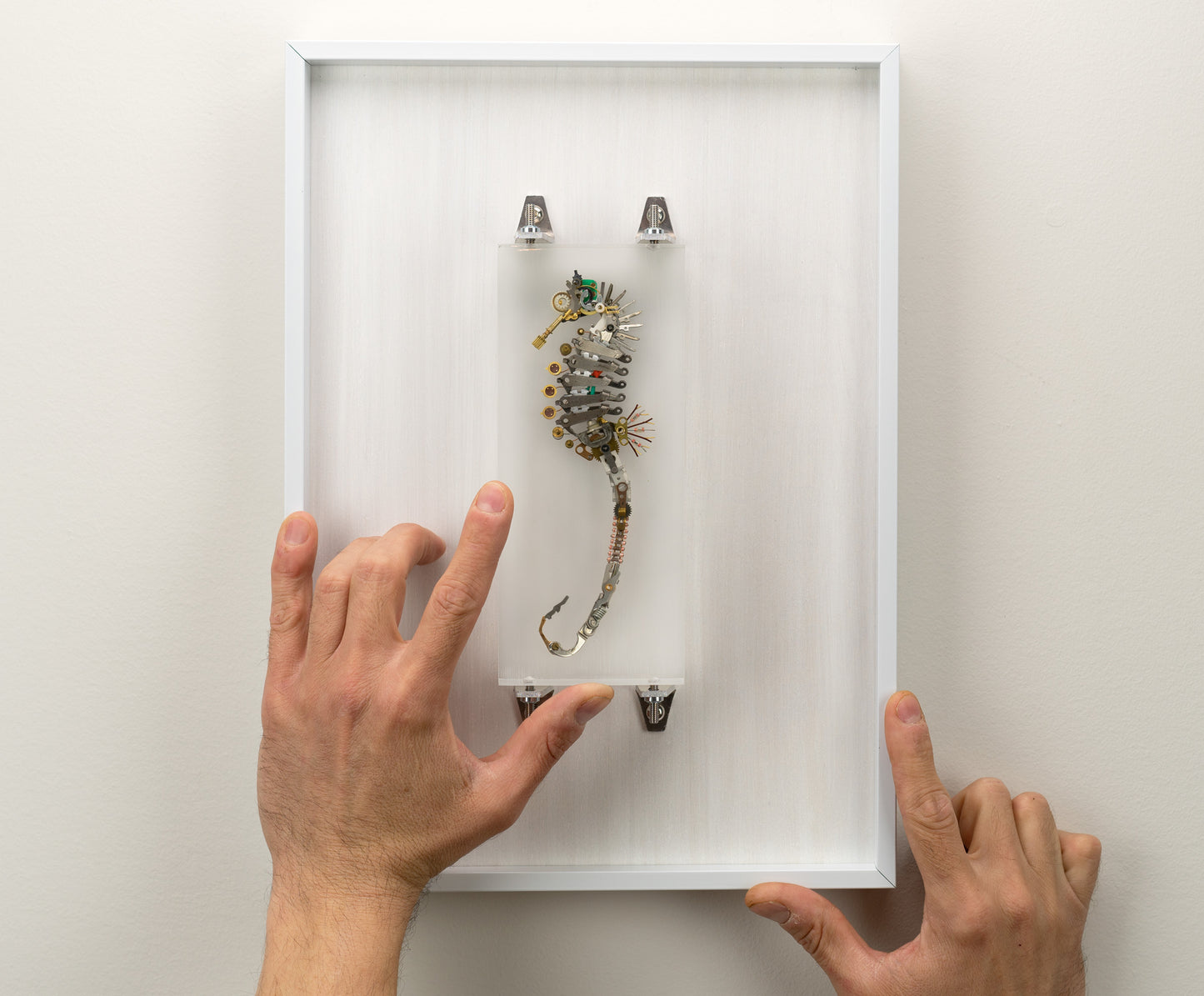 Emerald Crown Seahorse, 2023