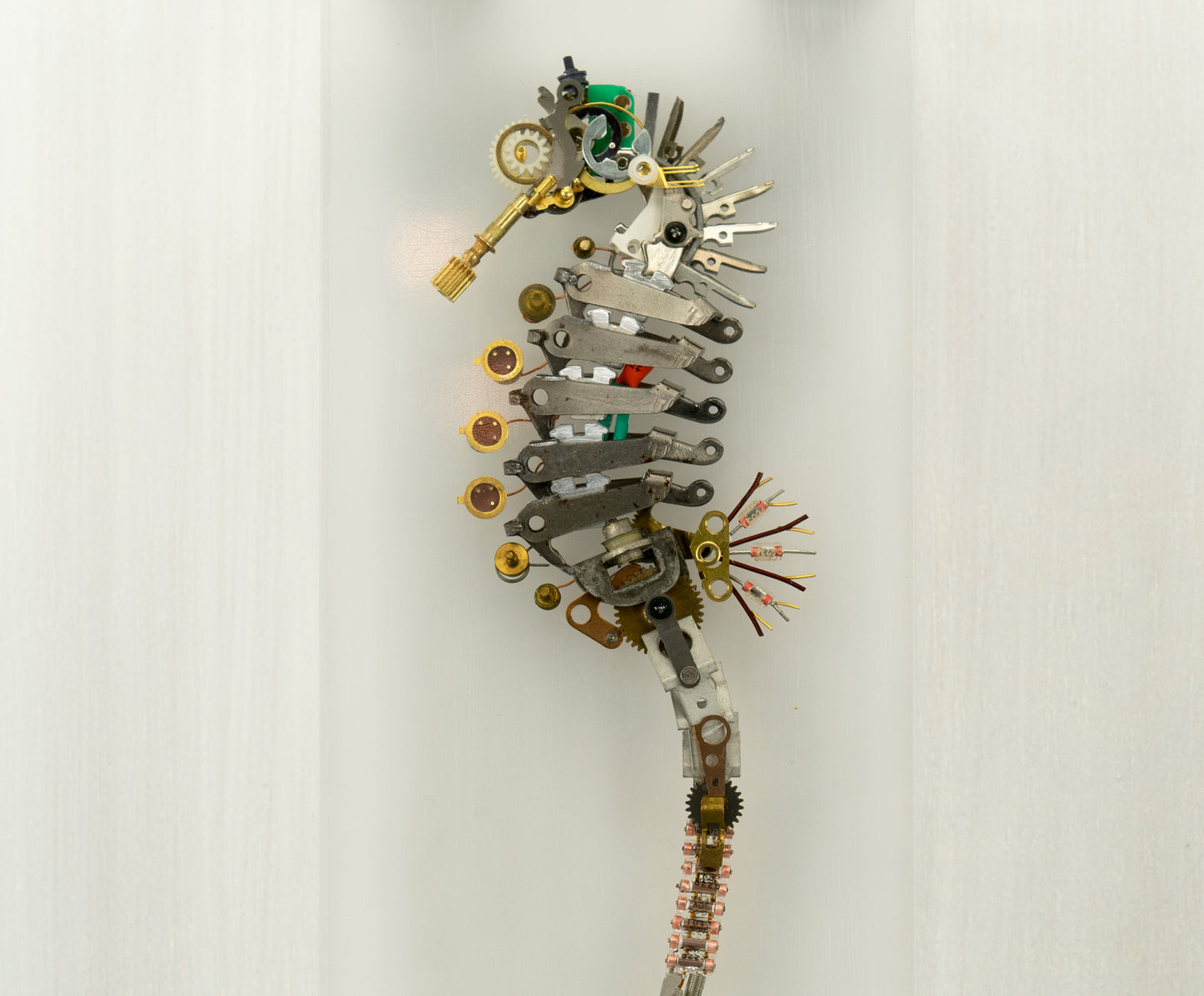 Emerald Crown Seahorse, 2023