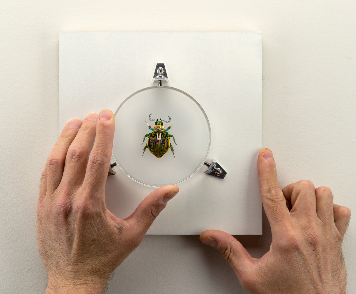 Faceted Green Scarab, 2023