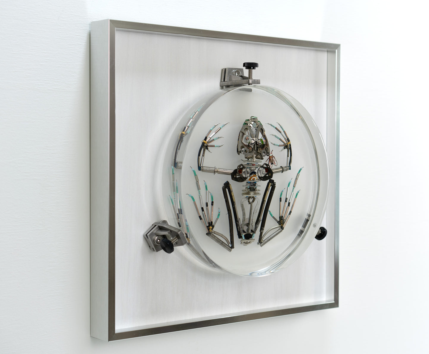 Mainspring Frog, 2023