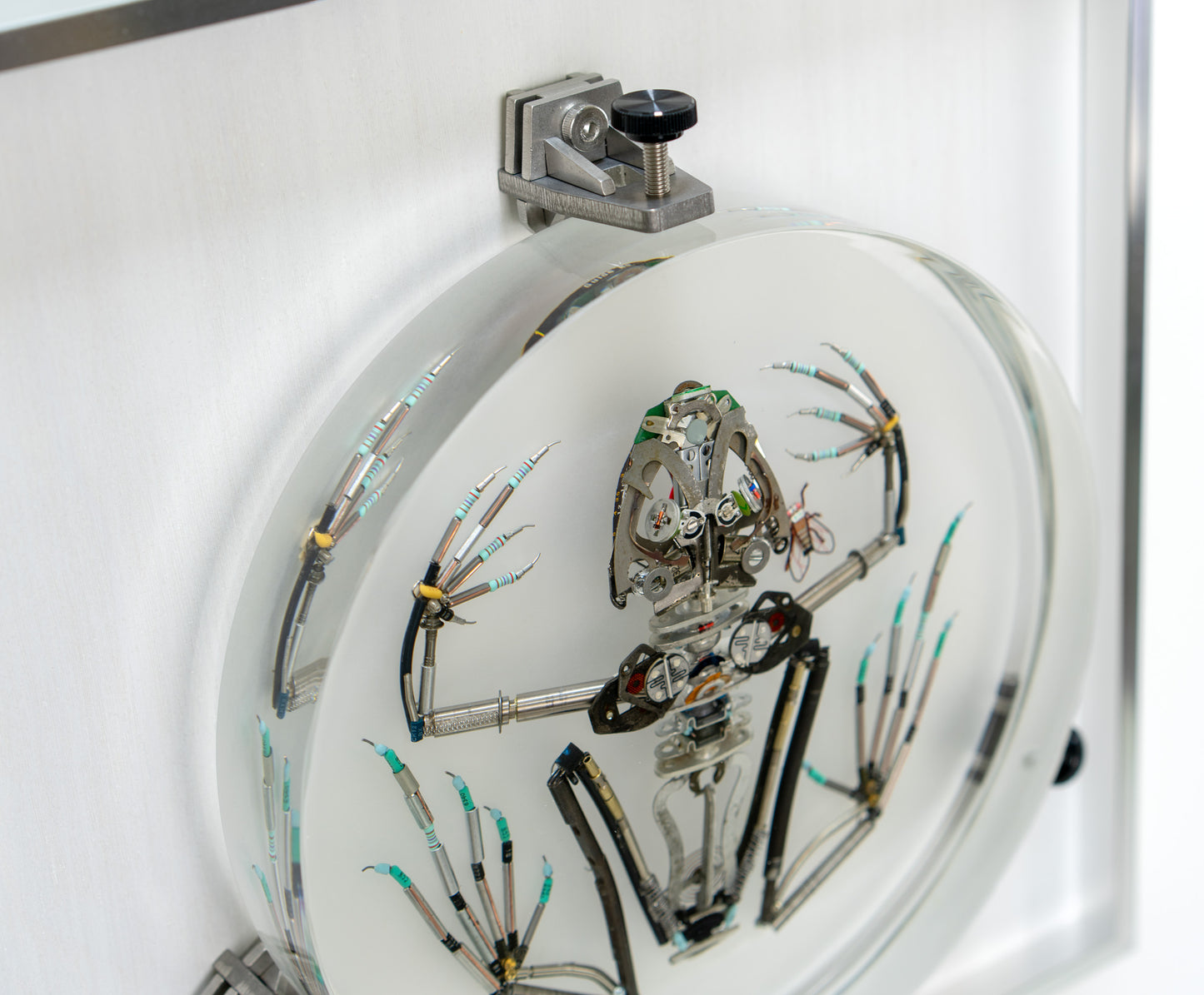 Mainspring Frog, 2023