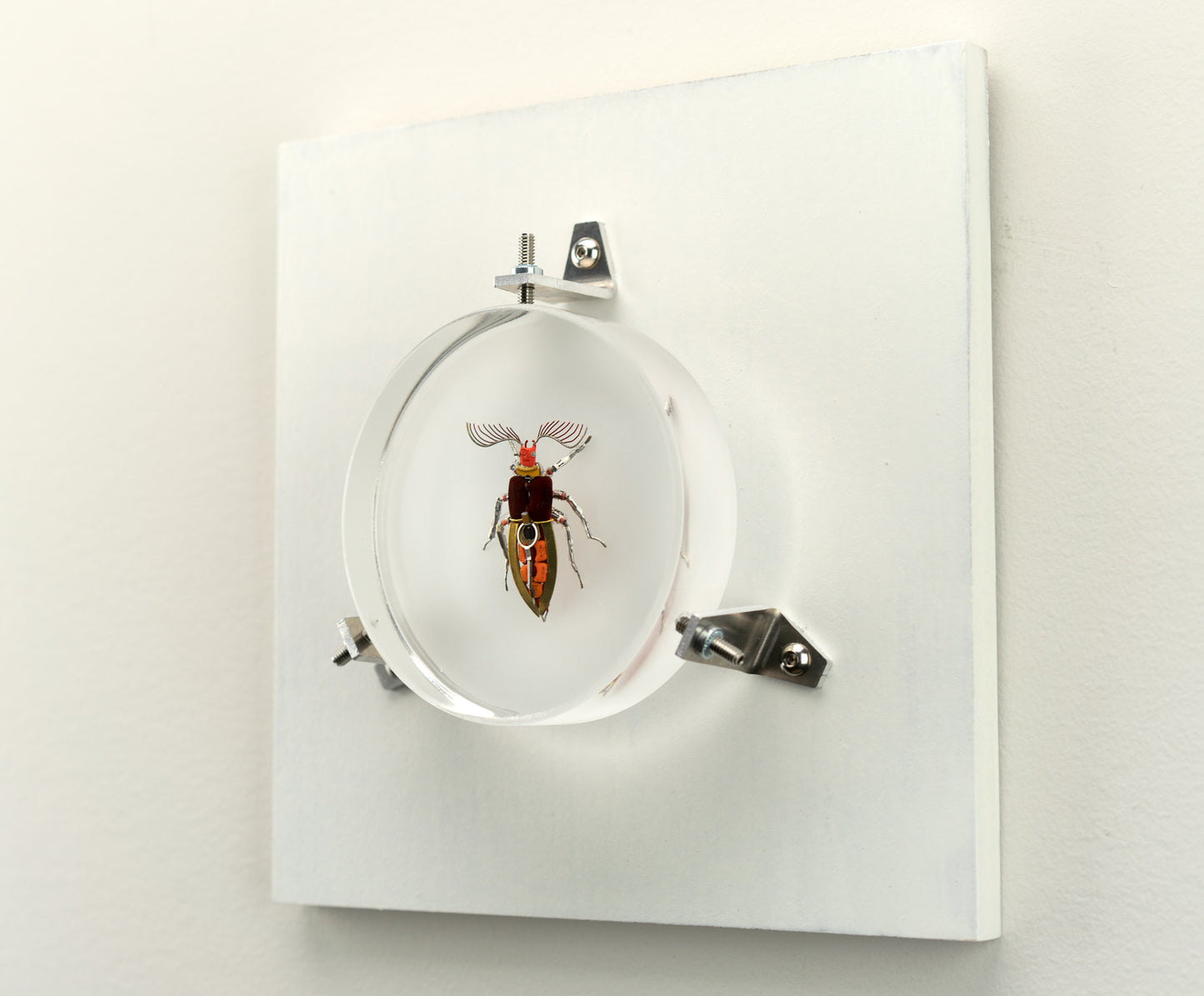 Giant Click Beetle, 2023