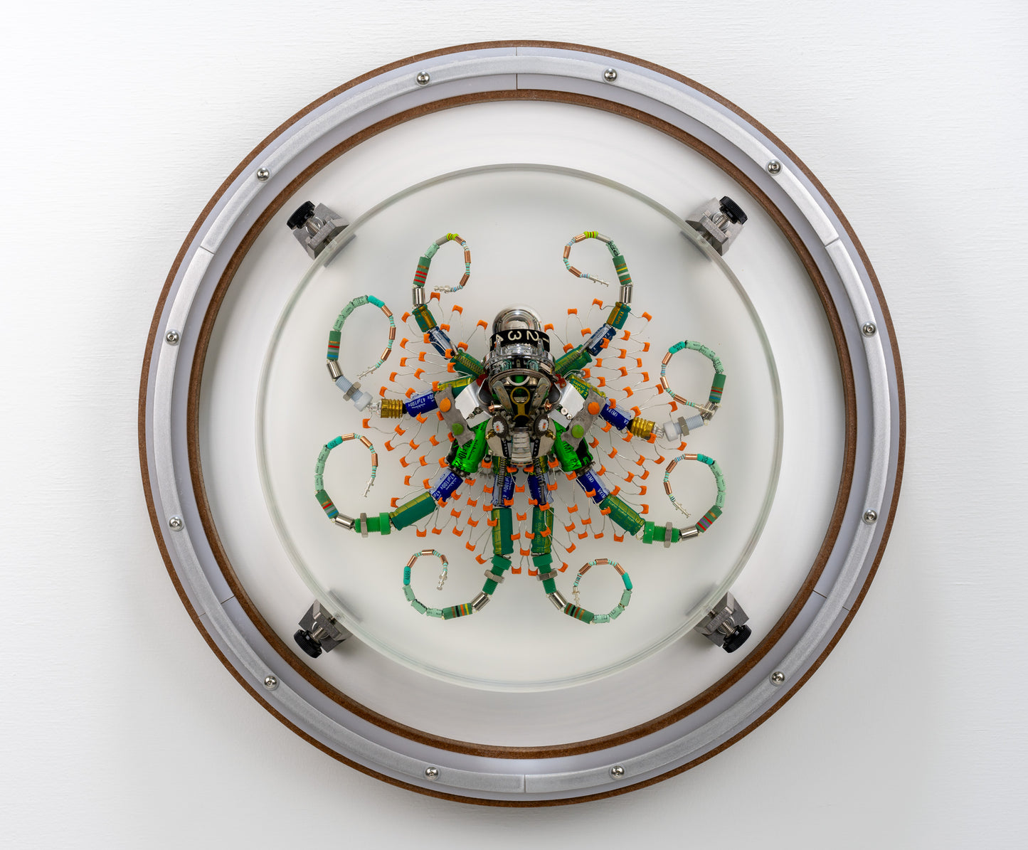 Optic Encoder Octopus (Tube-Head Cephalopod), 2024